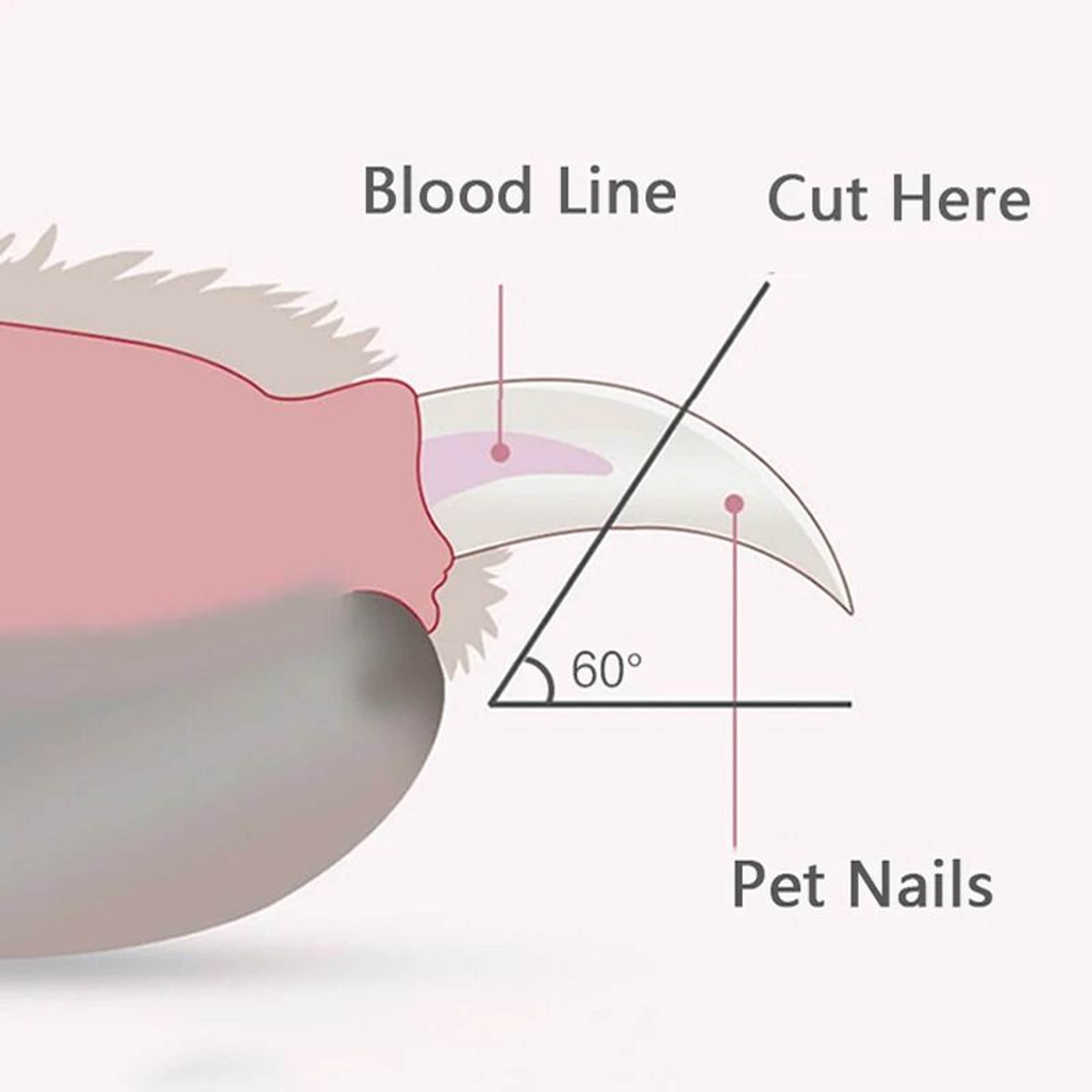 GlowTrim LED Pet Nail Clippers For Safe Paw Grooming 7