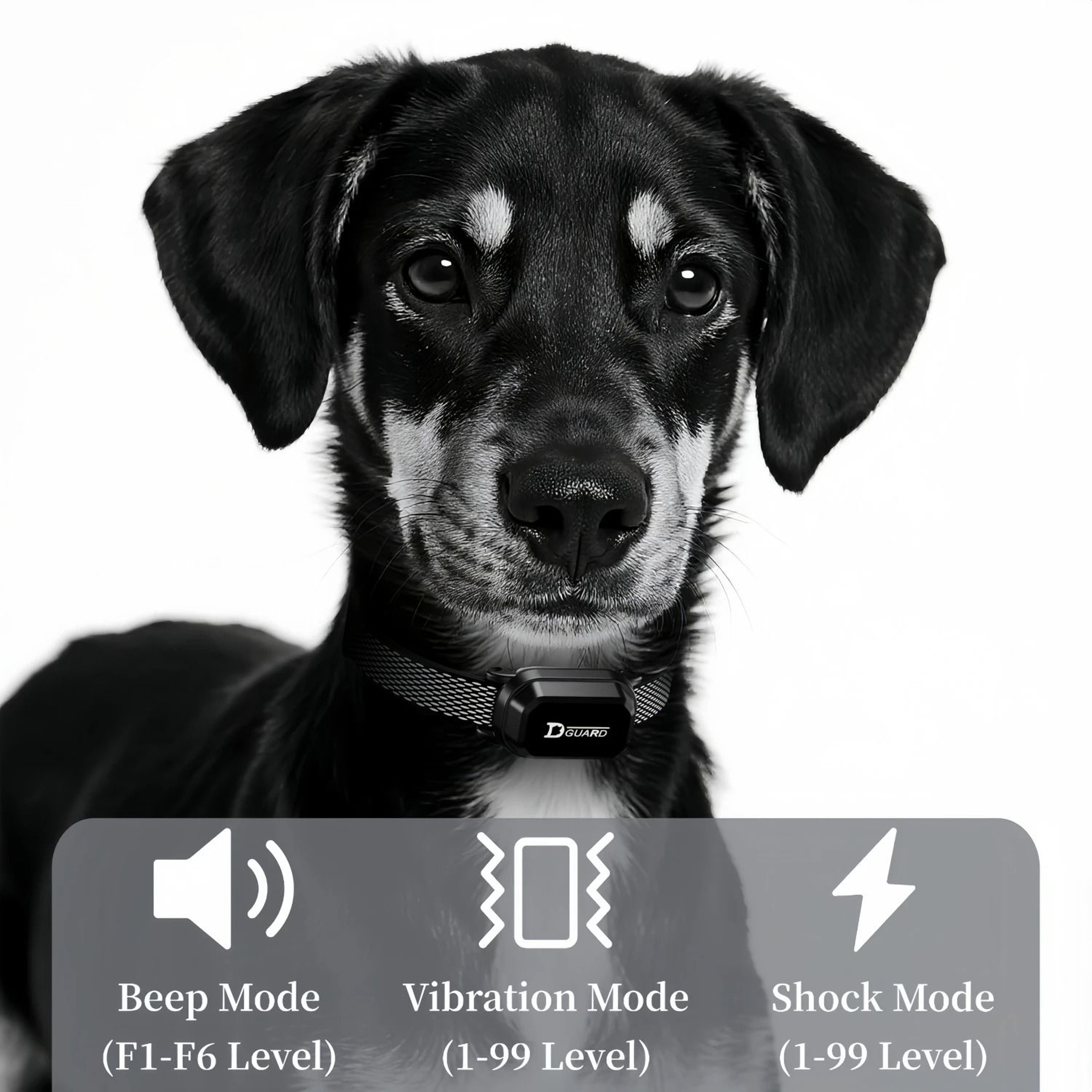 TrainPro Waterproof Remote Dog Training Collar For Large Range Control 8