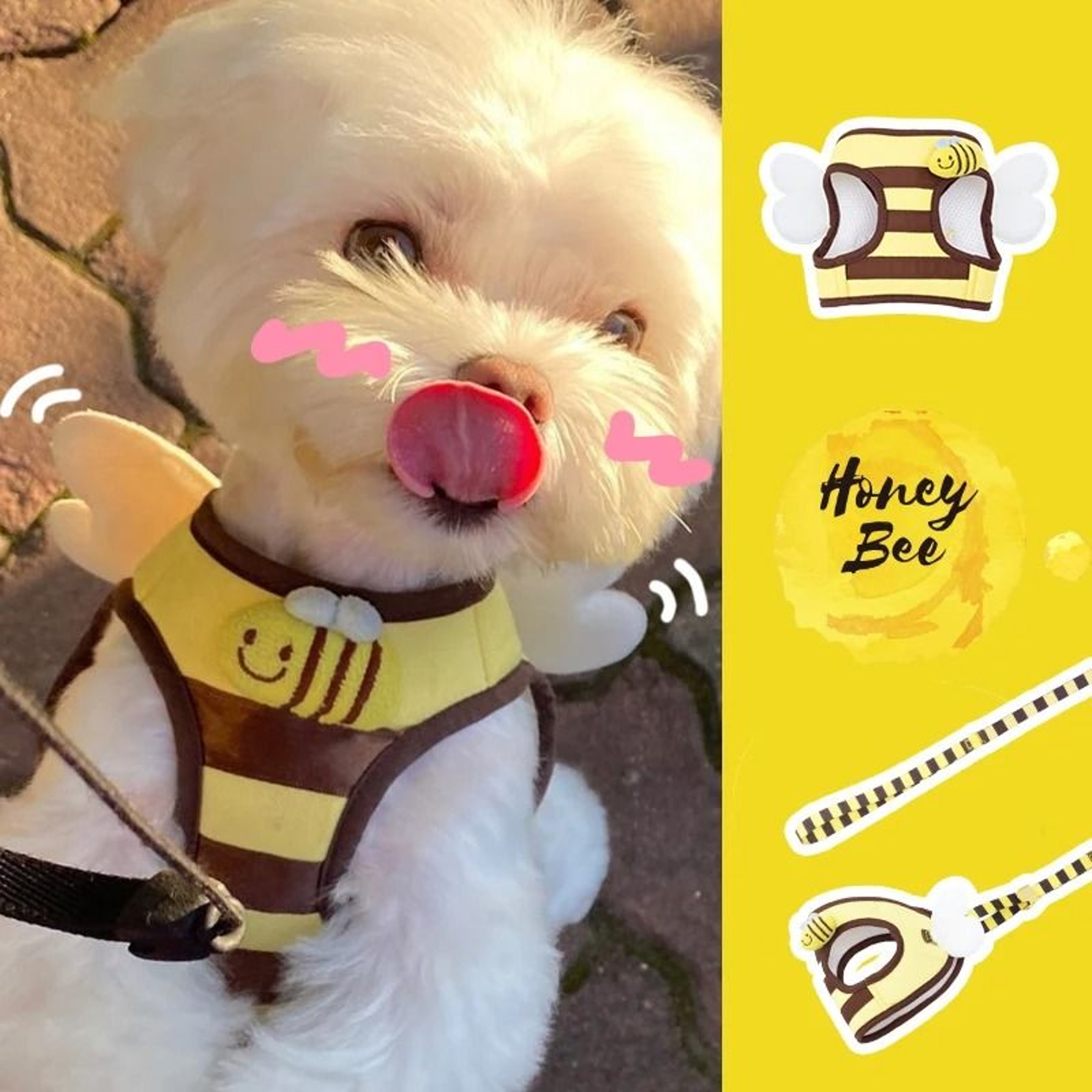 Cute Bee Dog Harness And Leash Set Soft Breathable Vest For Small Dogs And Cats 6