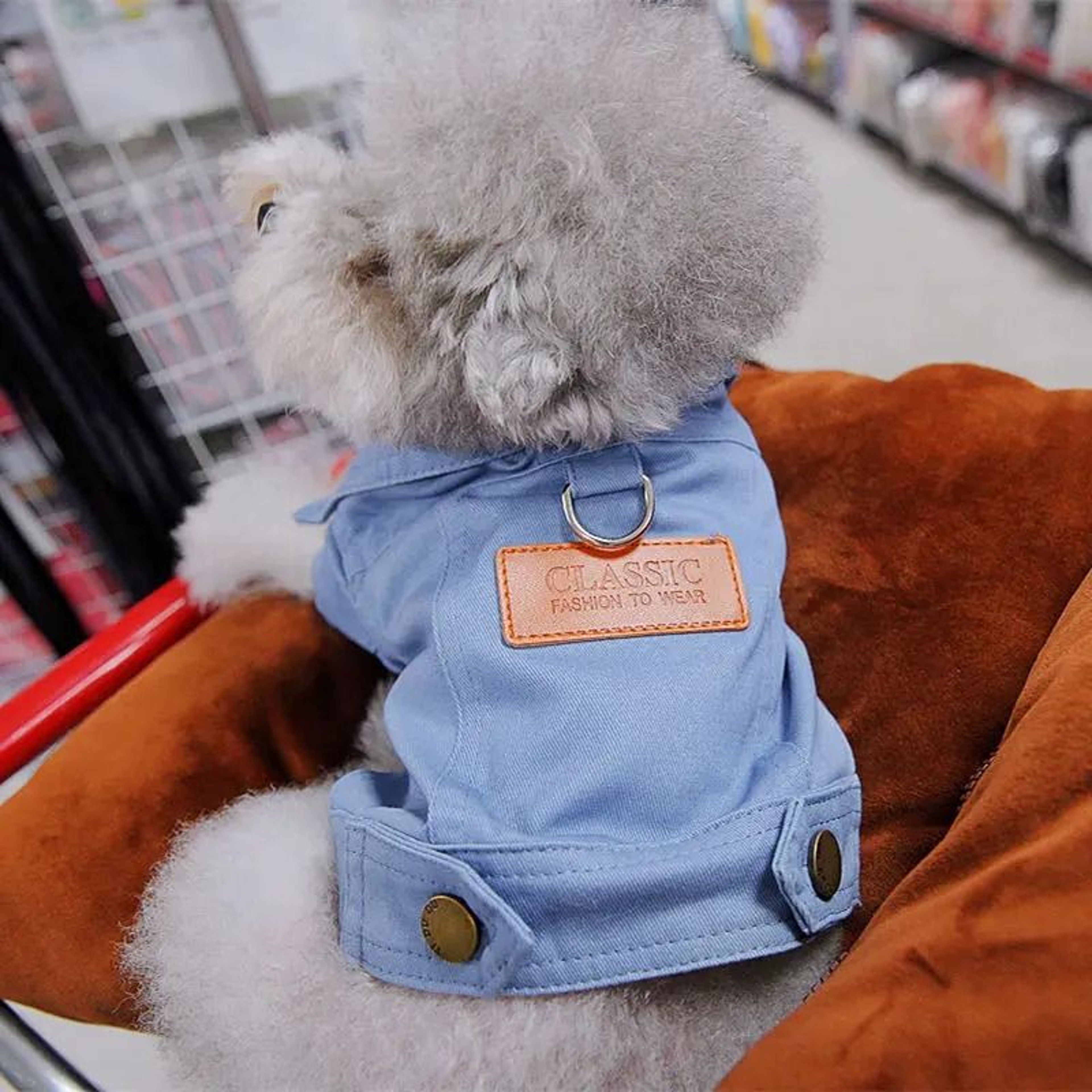 Denim Dog Jacket Outfit With Leash Ring For Small And Medium Dogs 3
