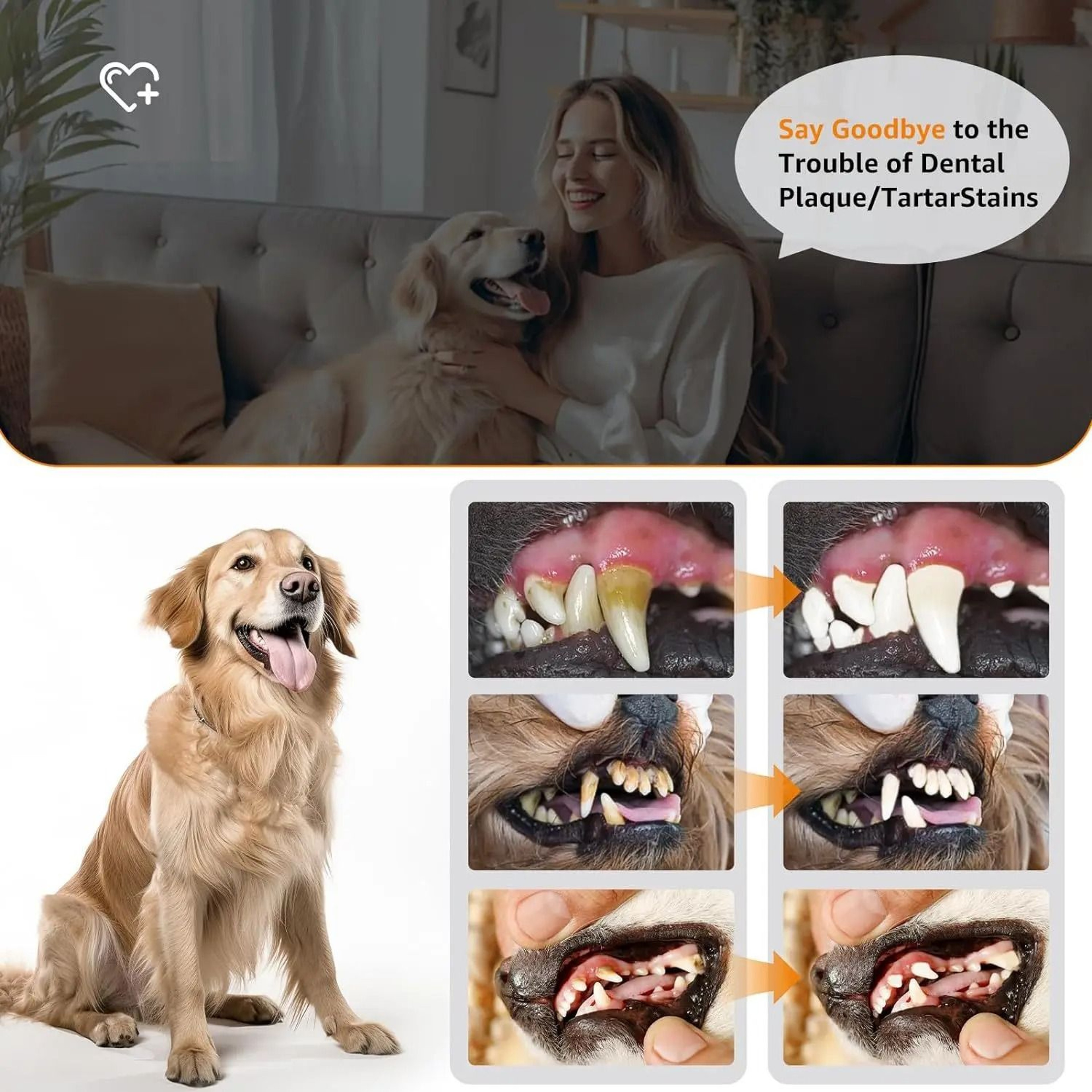 Ultrasonic Pet Tooth Cleaner Electric Plaque Removal Dental Care Tool For Dogs And Cats 3