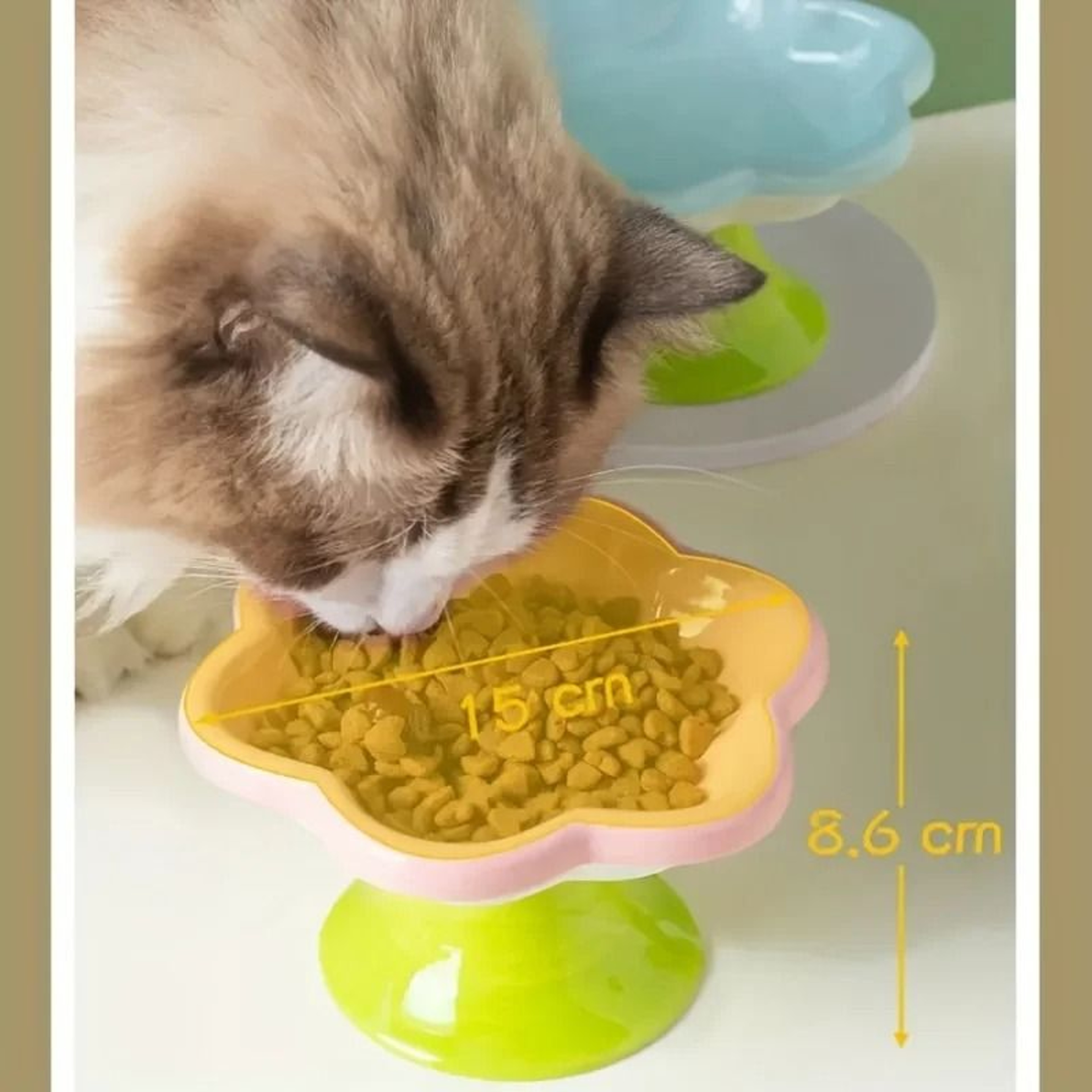 Ceramic Raised Cat Bowl With Flower Design And Elevated Stand 5