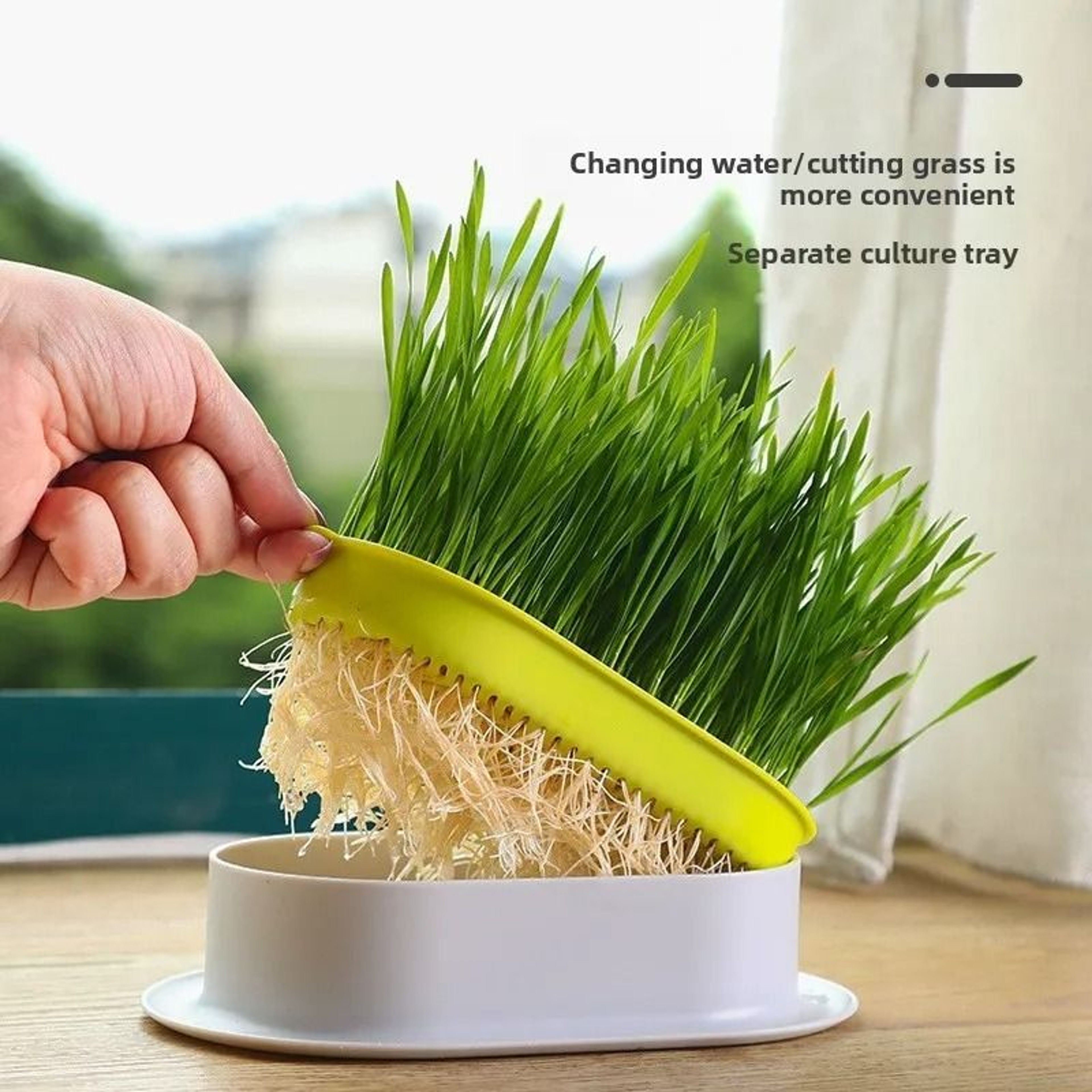 Hydroponic Cat Grass Growing Box For Indoor Cats 7