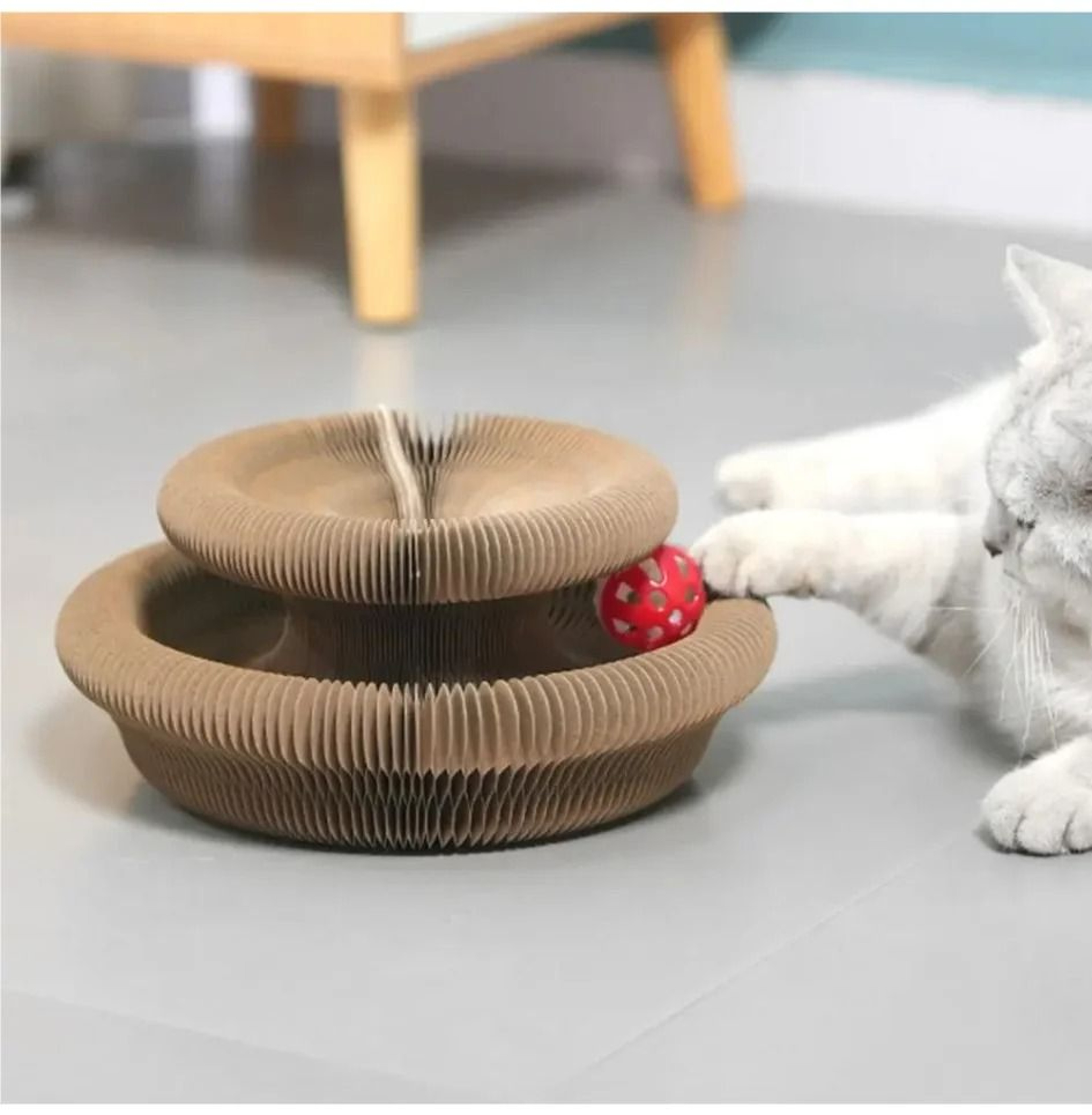 Transformable Kitty Kurlz Cat Scratching Board Toy 5