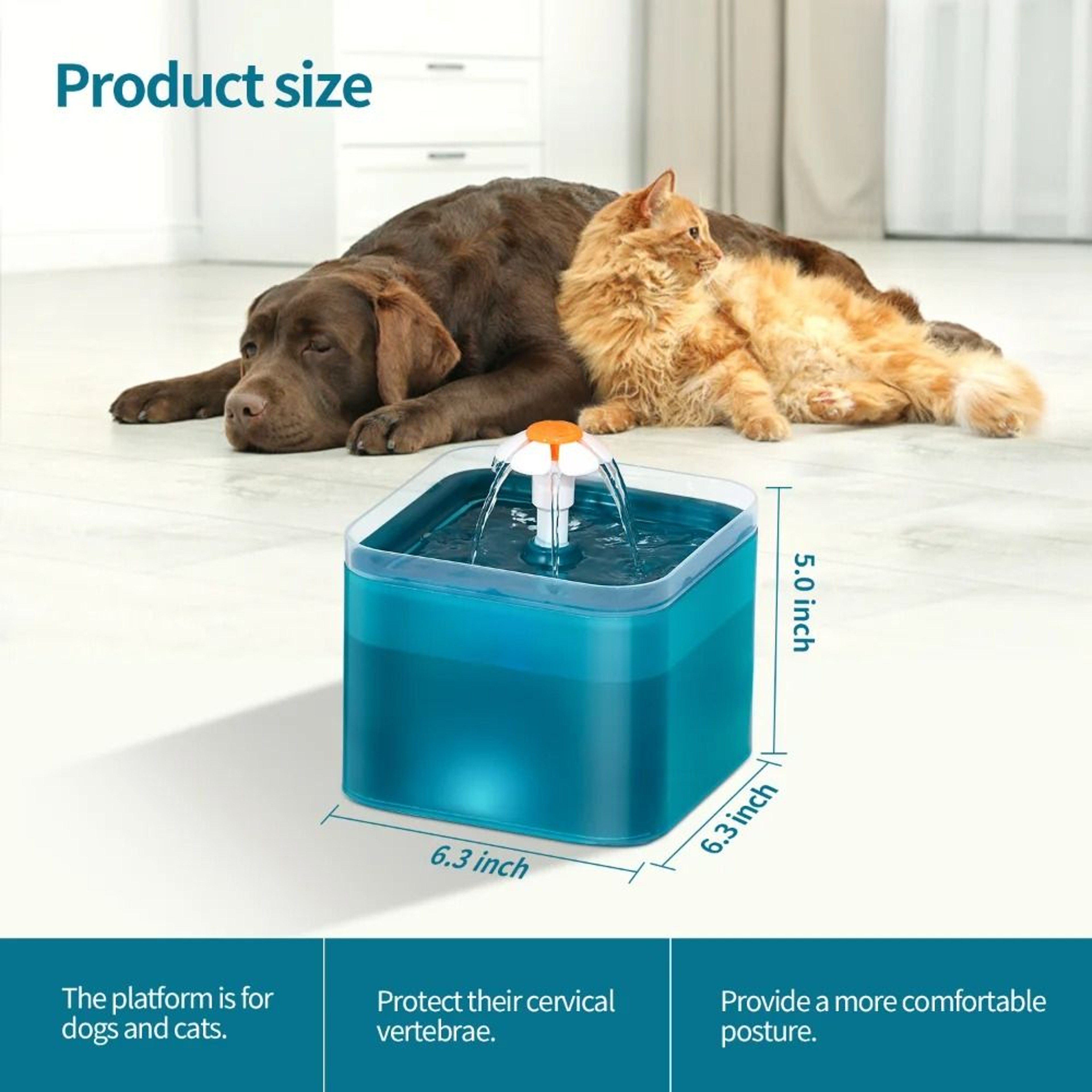 LED Automatic Cat Water Fountain With USB Filter System 6