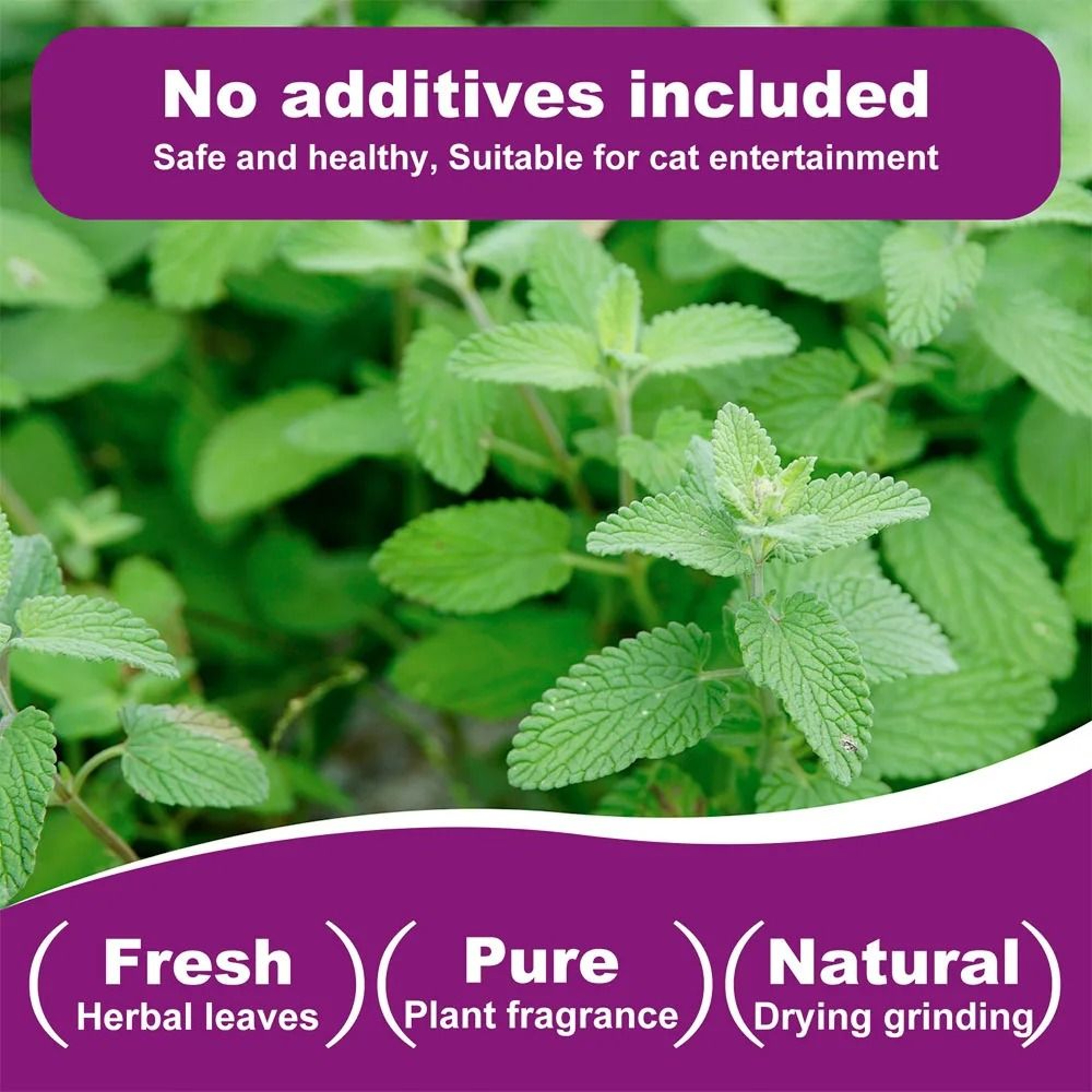 Natural Pure Catnip Interactive Toy For Cats 6