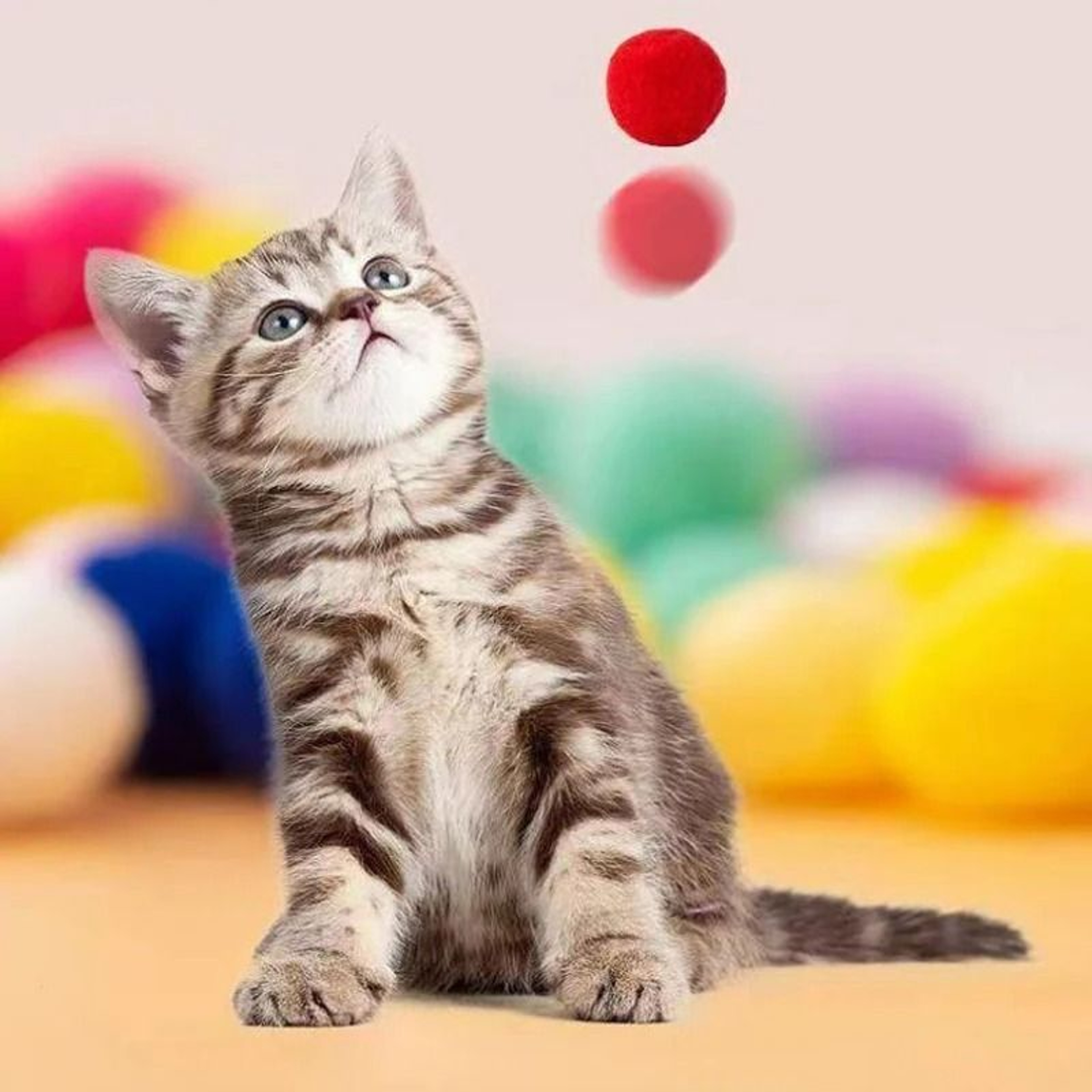 Interactive Plush Ball Cat Toys Set Stretch Ball Training Toys For Kittens And Indoor Cats 9