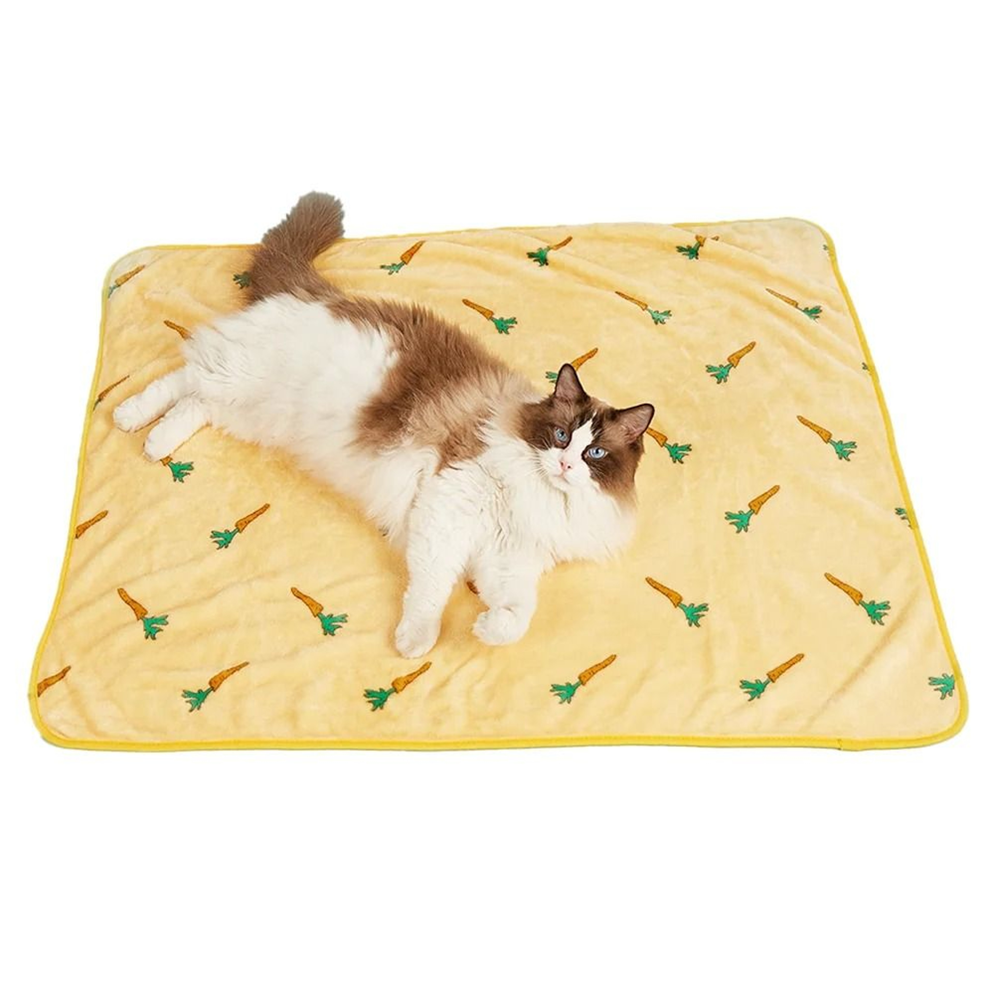 Soft Plush Pet Bed Mat Warm Cozy Sleeping Blanket For Cats And Small Dogs 12