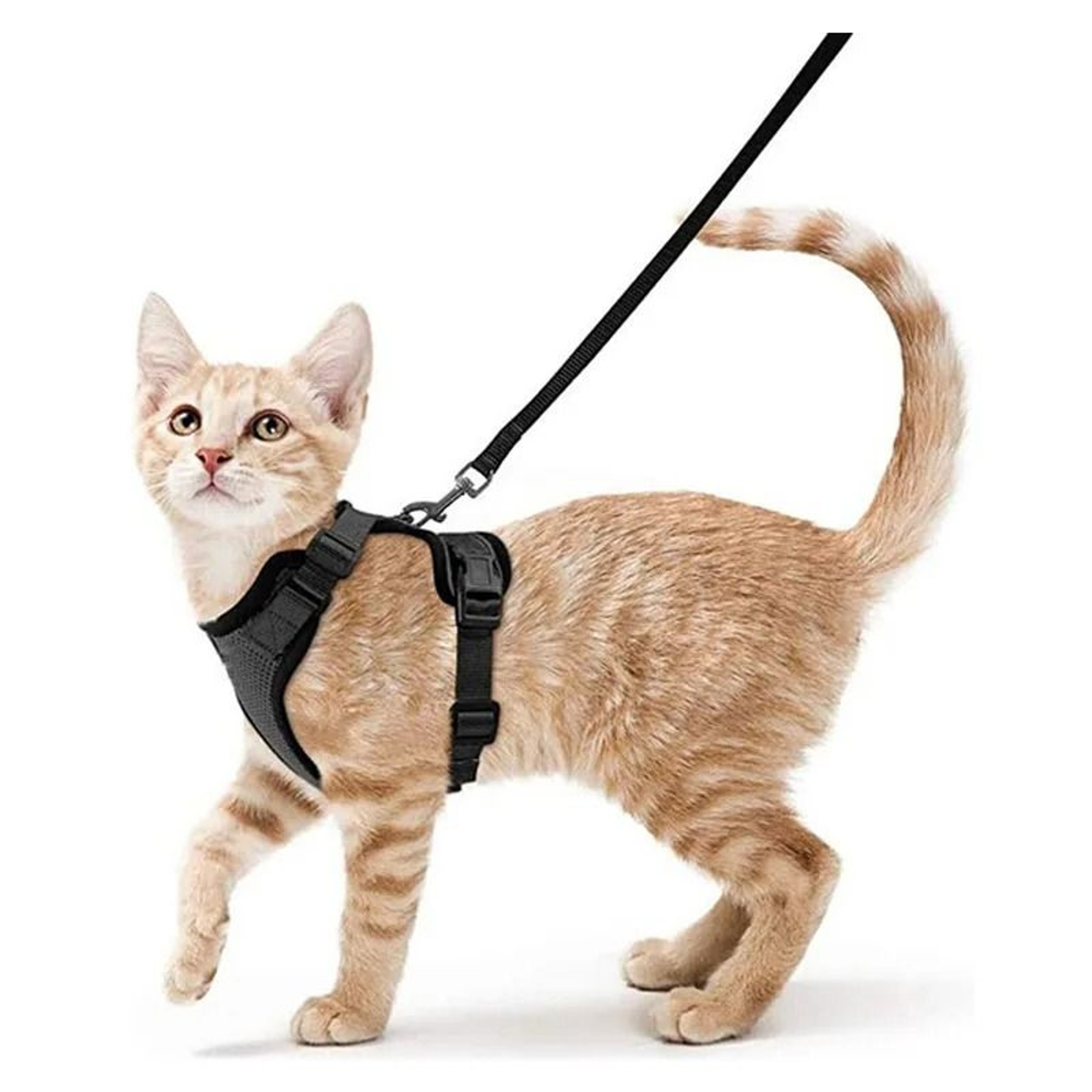 Escape Proof Cat Harness And Leash Soft Adjustable Vest For Walking And Training Cats 1