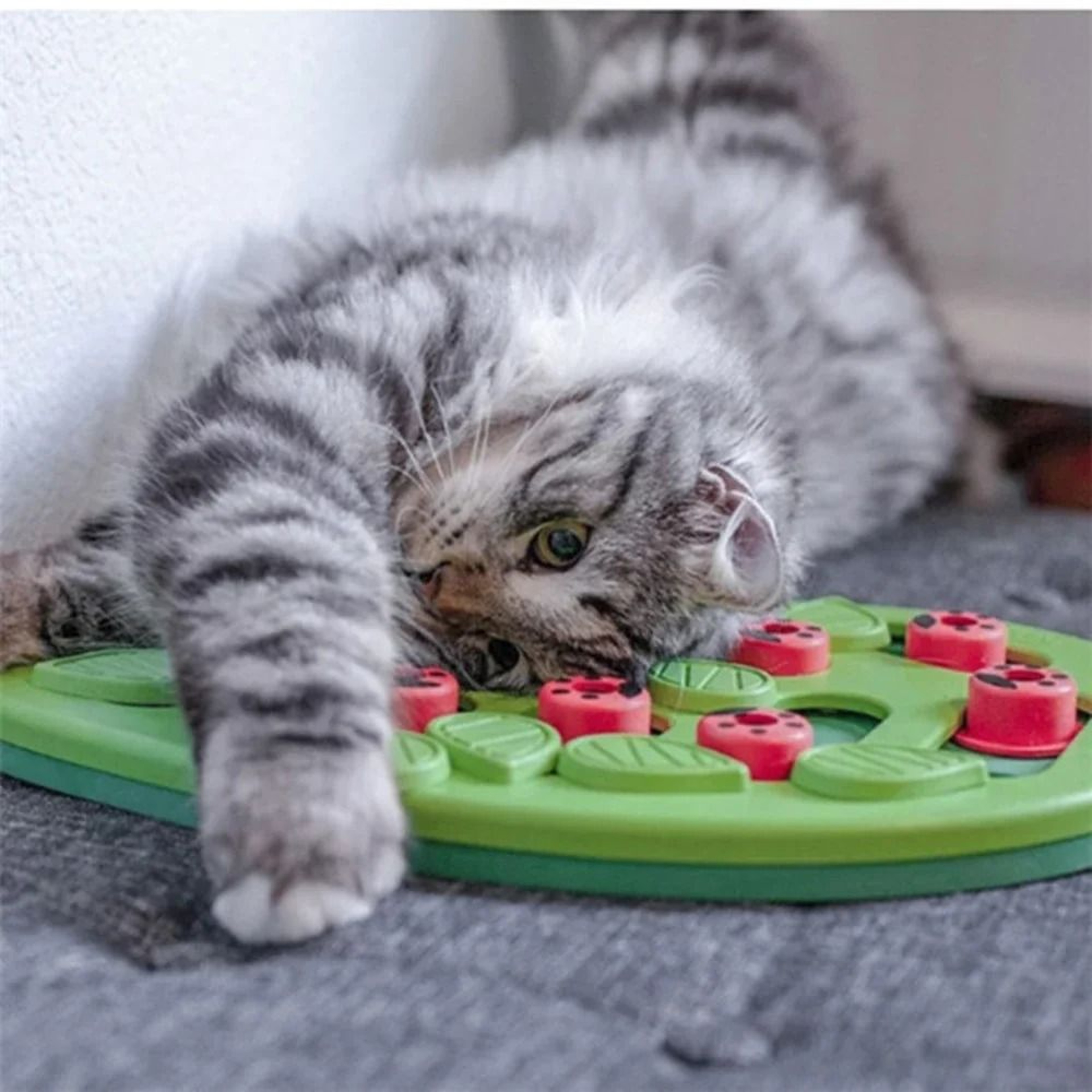 Rainy Day Interactive Cat Treat Puzzle And Scratch Board Toy 1