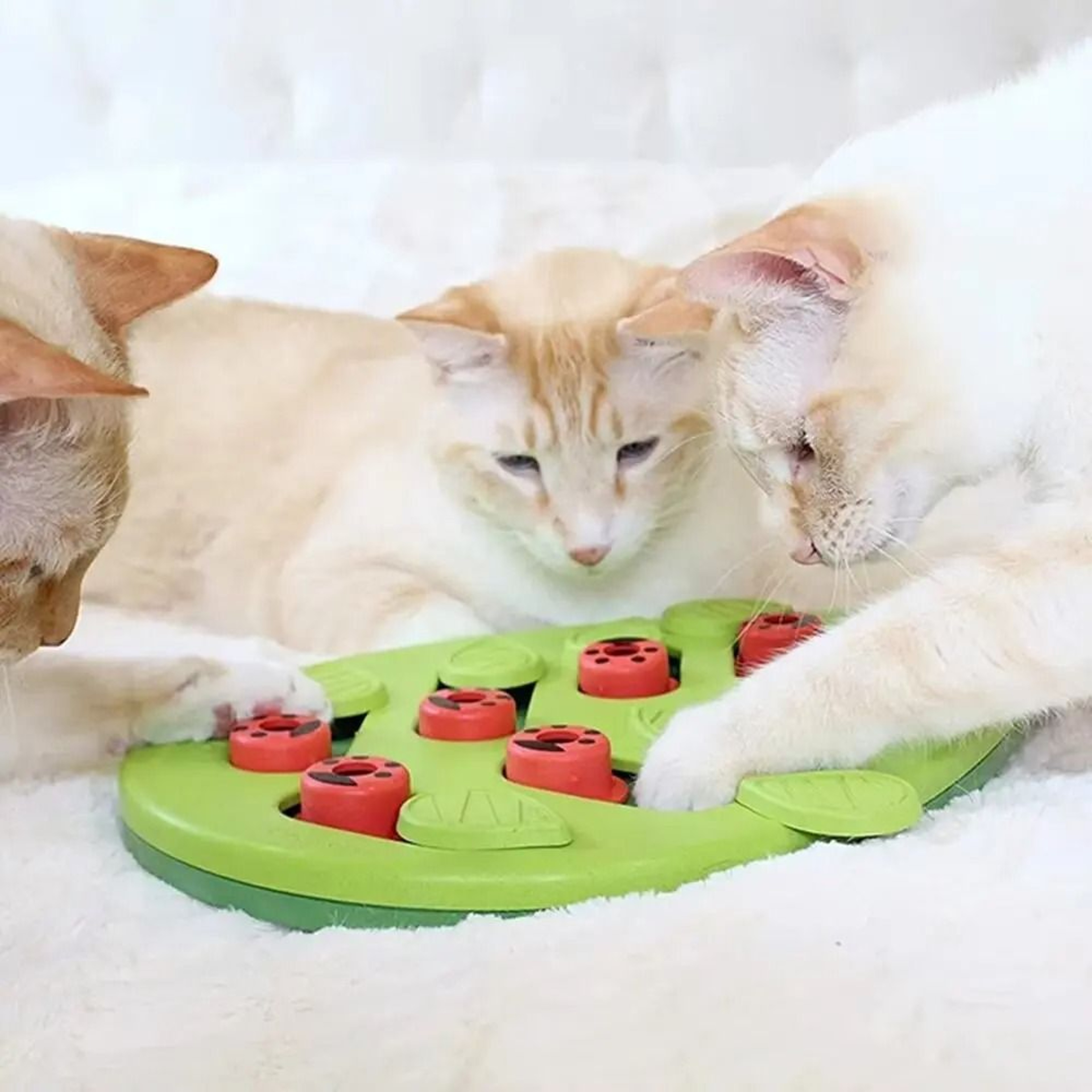 Interactive Cat Puzzle Treat Toy Adjustable Slow Feeder Brain Game For Indoor Cats 4