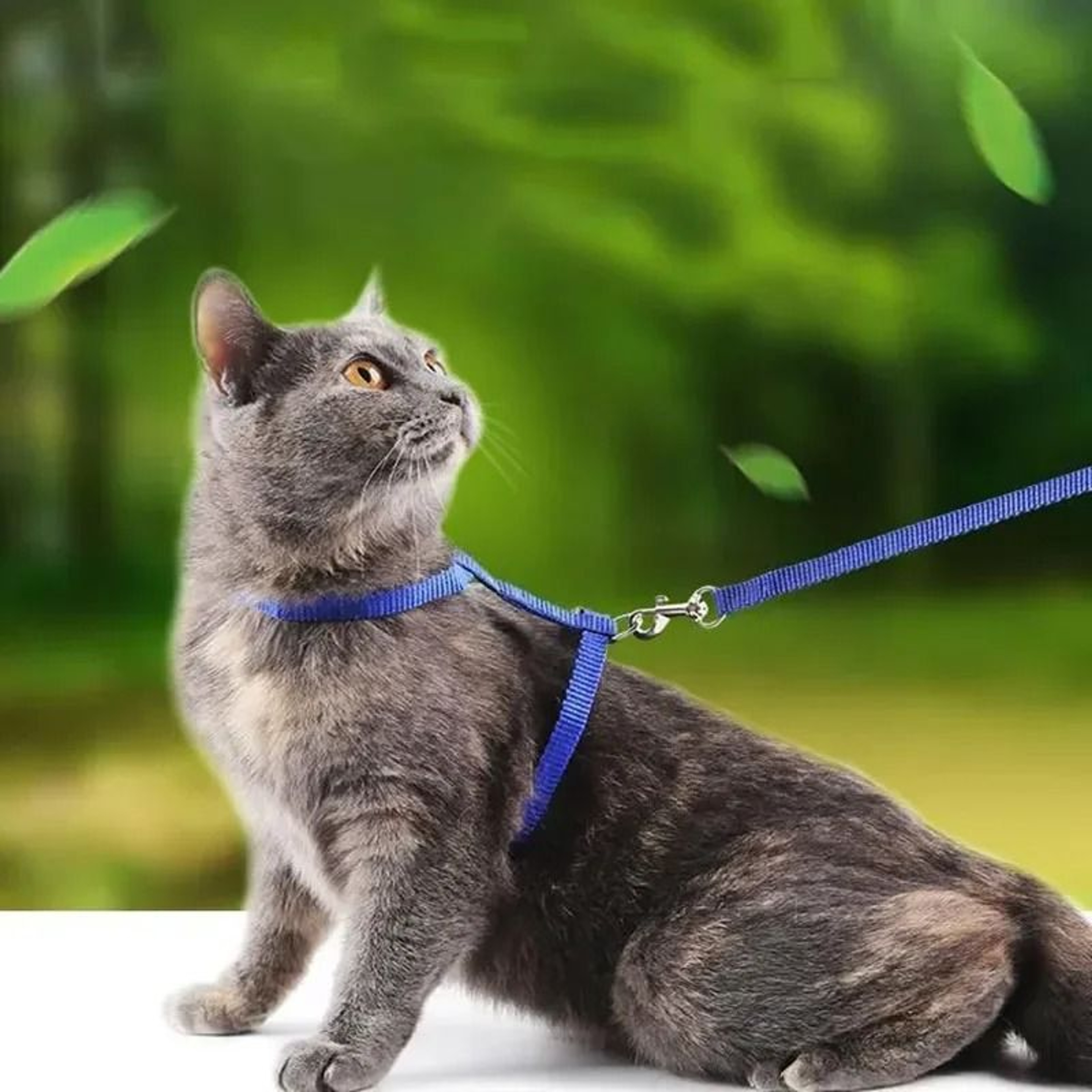 Escape Proof Small Dog And Cat Harness Leash Set Soft Adjustable No Pull Pet Harness 14