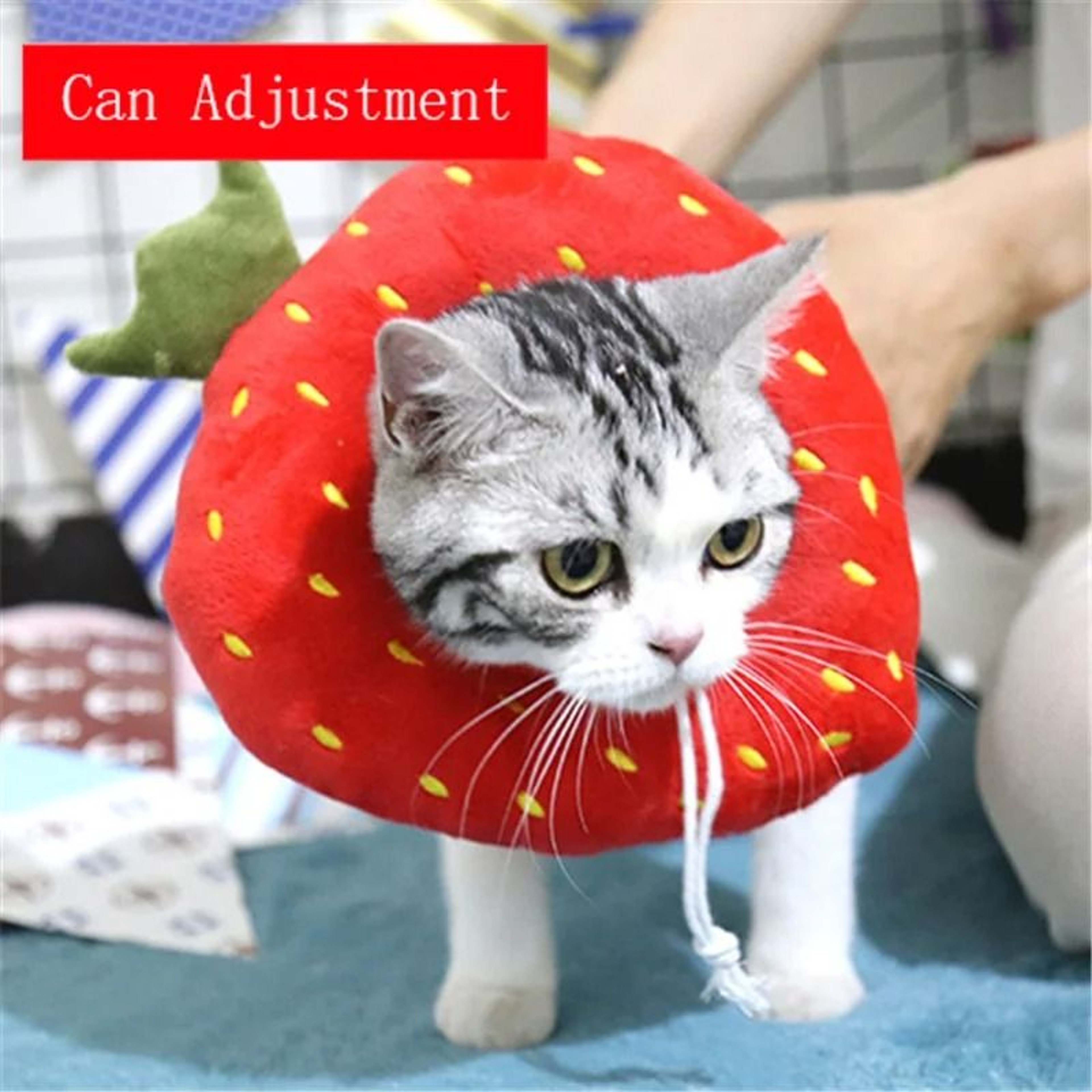 Soft Avocado Pet Recovery Collar For Dogs And Cats 3