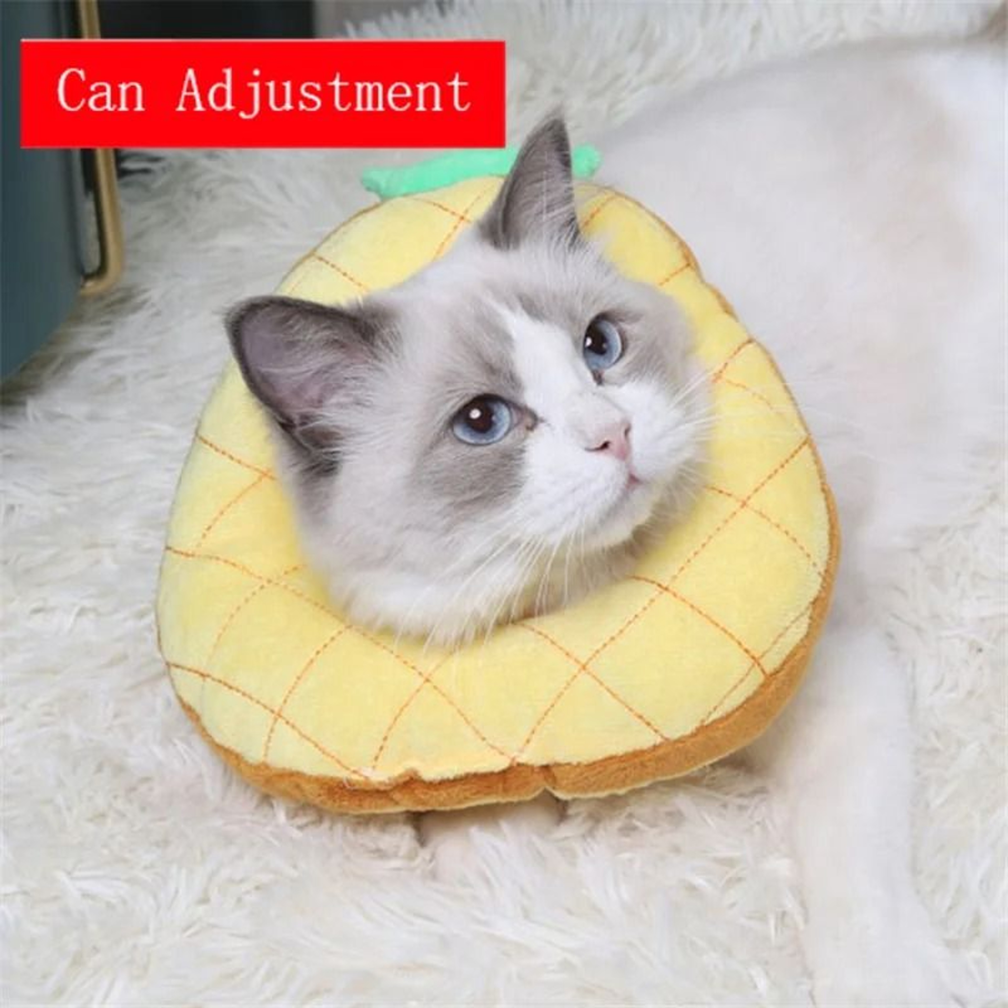 Soft Avocado Pet Recovery Collar For Dogs And Cats 10