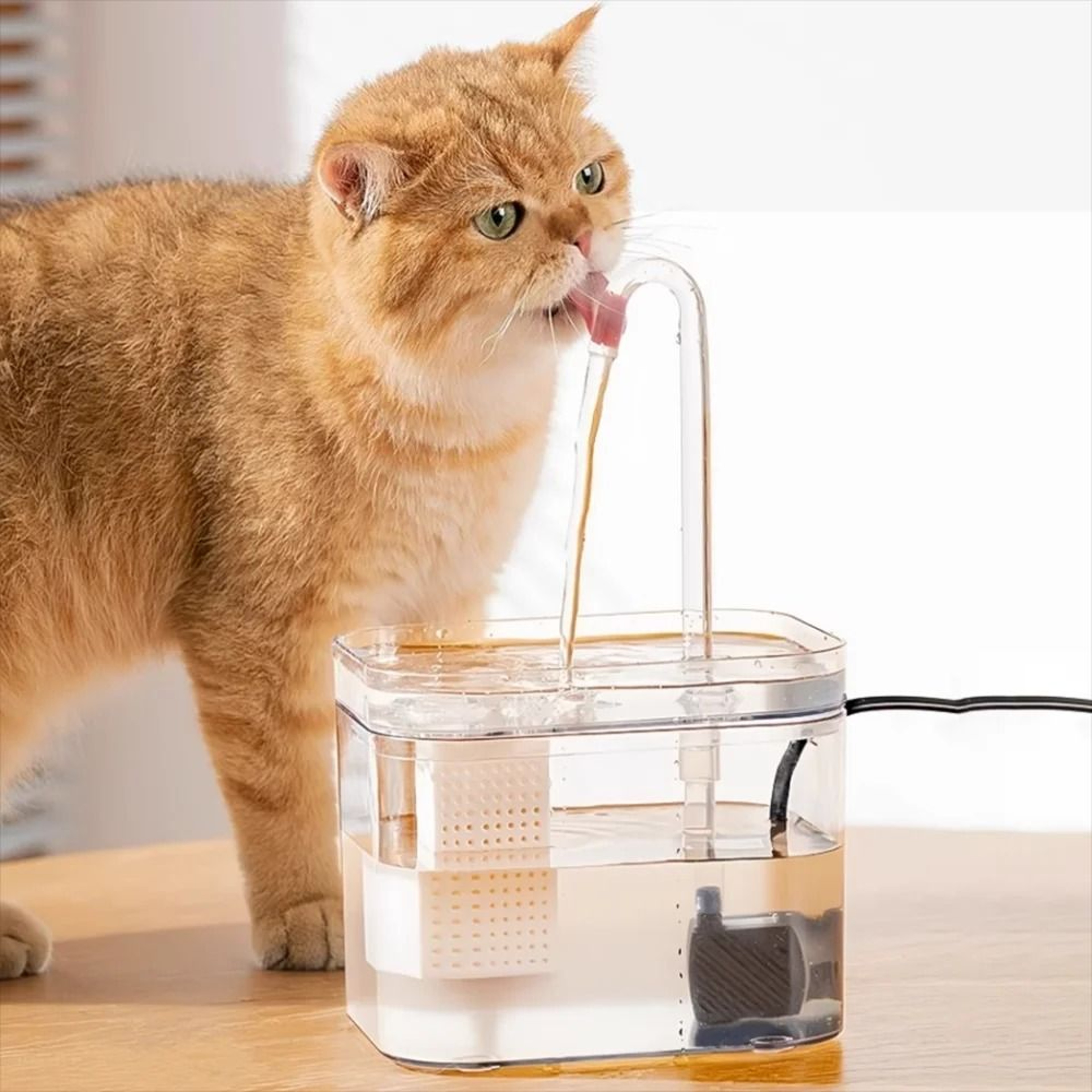 Transparent Automatic Cat Water Fountain With Circulating Filter System 8