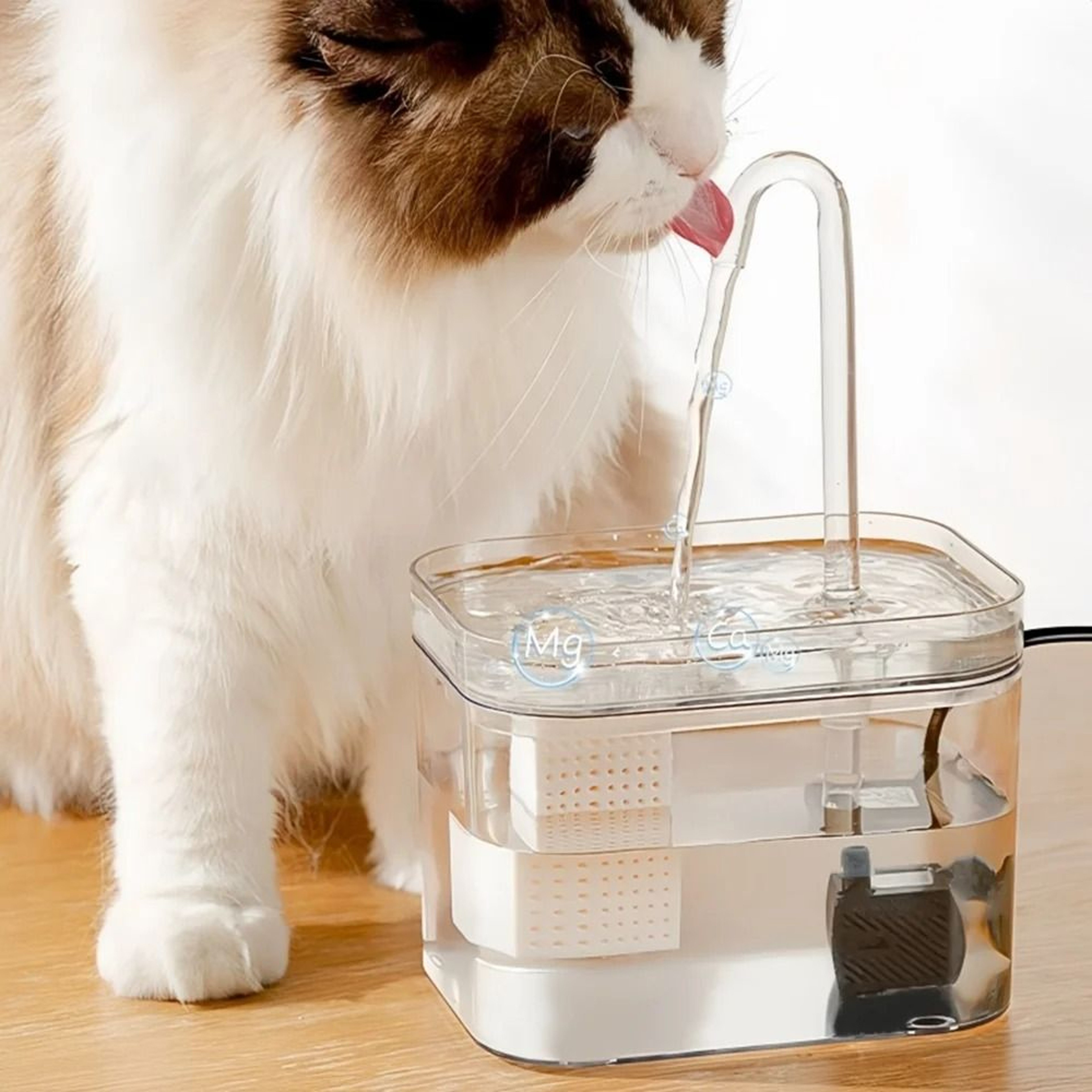 Transparent Automatic Cat Water Fountain With Circulating Filter System 0