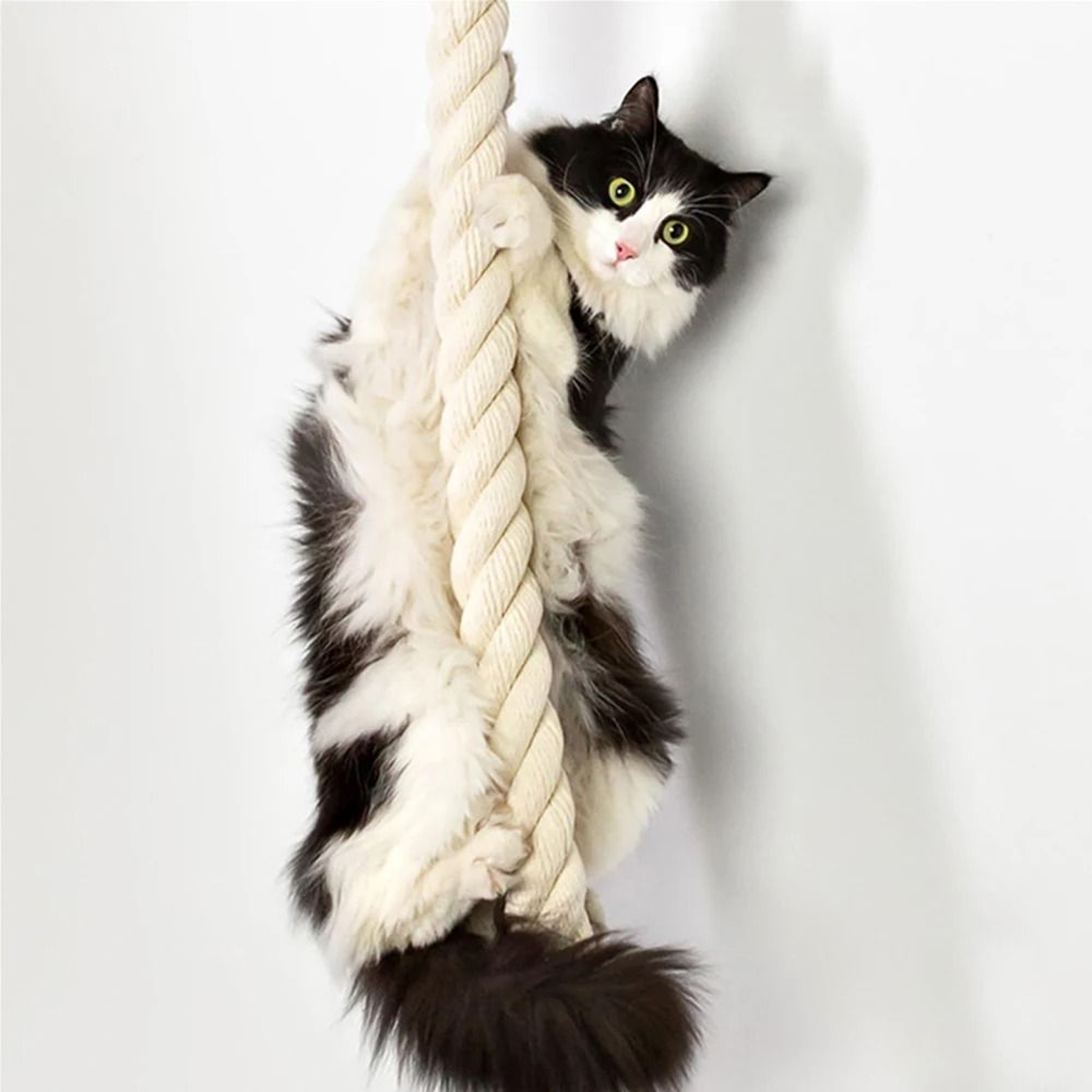 Wall Mounted Sisal Cat Climbing Tree Scratching Post Indoor Jungle Gym 5