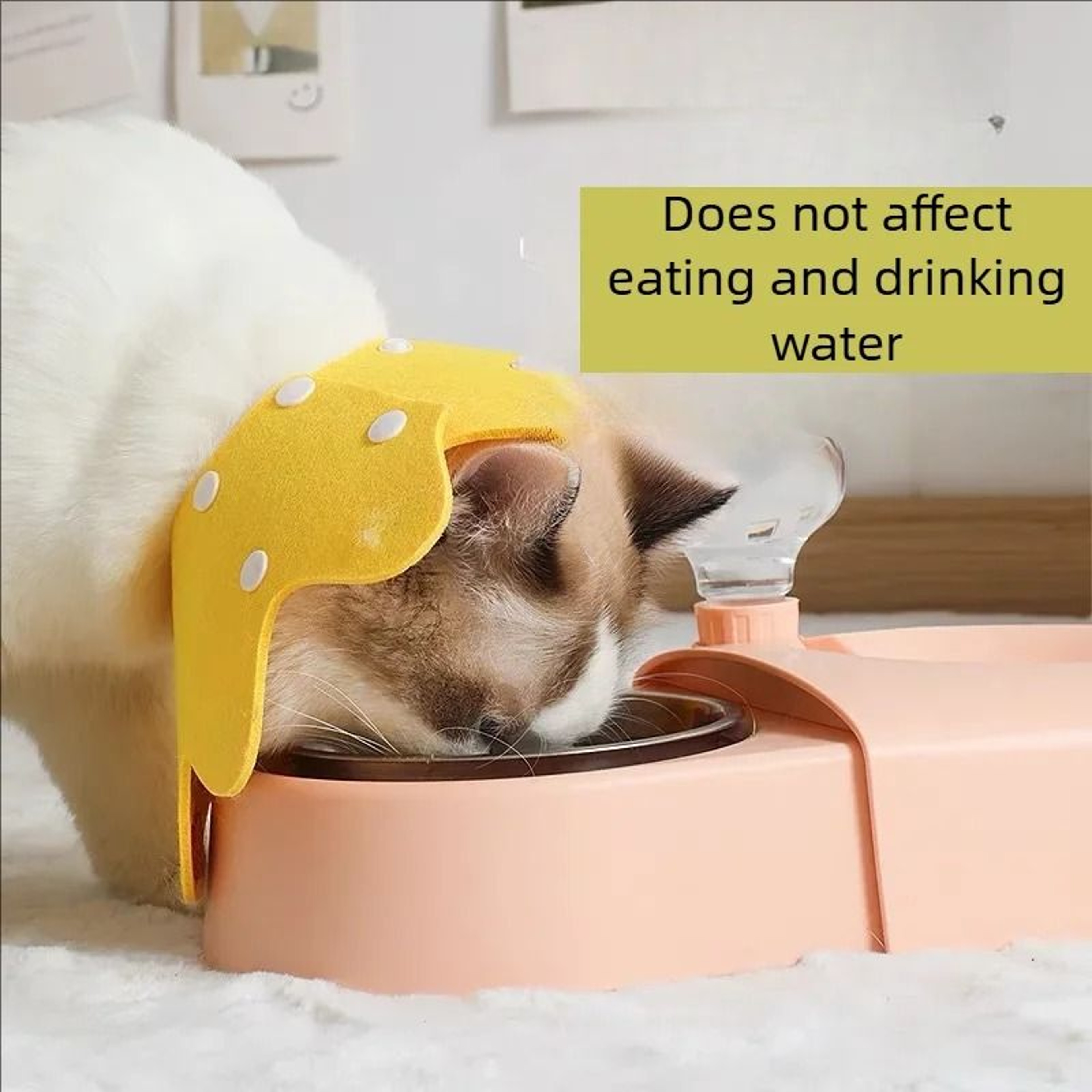 Adjustable Pet Recovery Cone Collar For Dogs And Cats Surgical Neck Protector 6