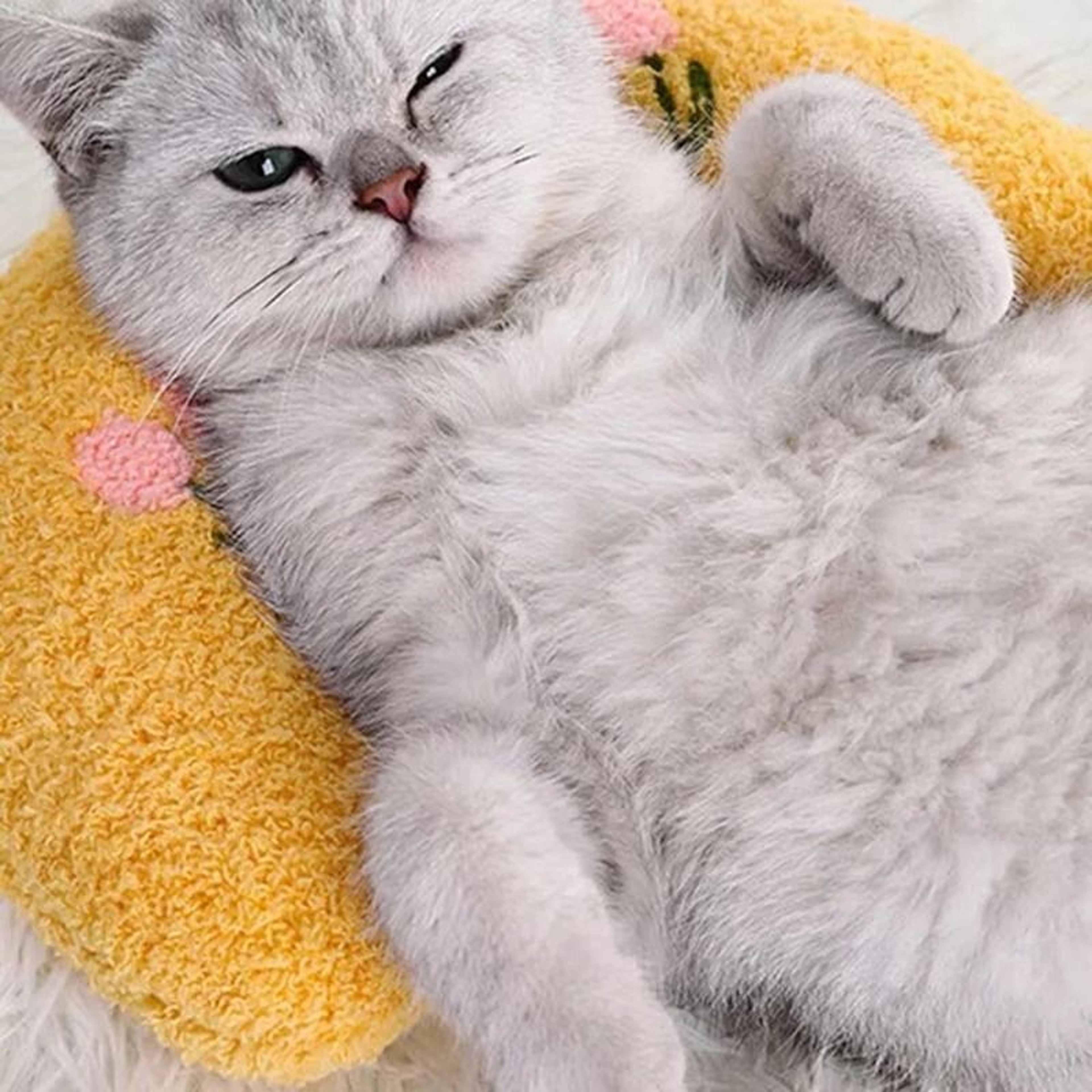 Ultra Soft Cat Calming Pillow Fluffy Half Donut Cuddler Toy For Comfortable Pet Sleep 8