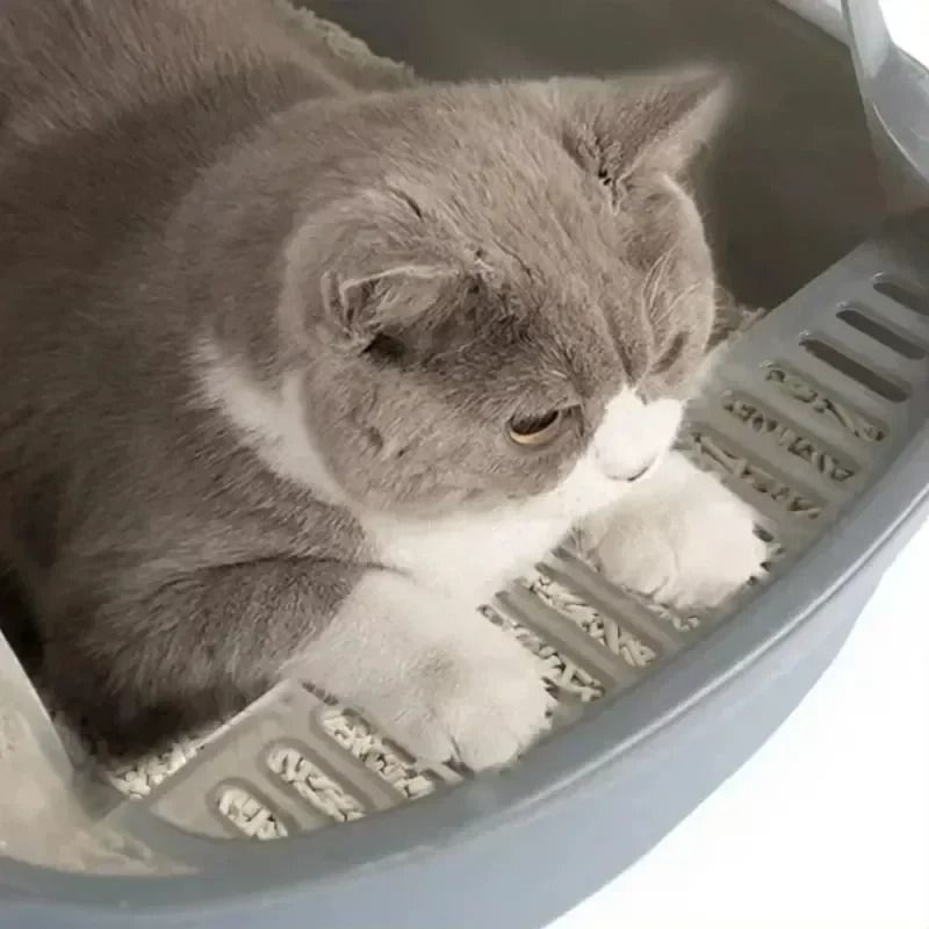 Semi Enclosed Cat Litter Box Splashproof High Sided Indoor Kitty Toilet Tray 9