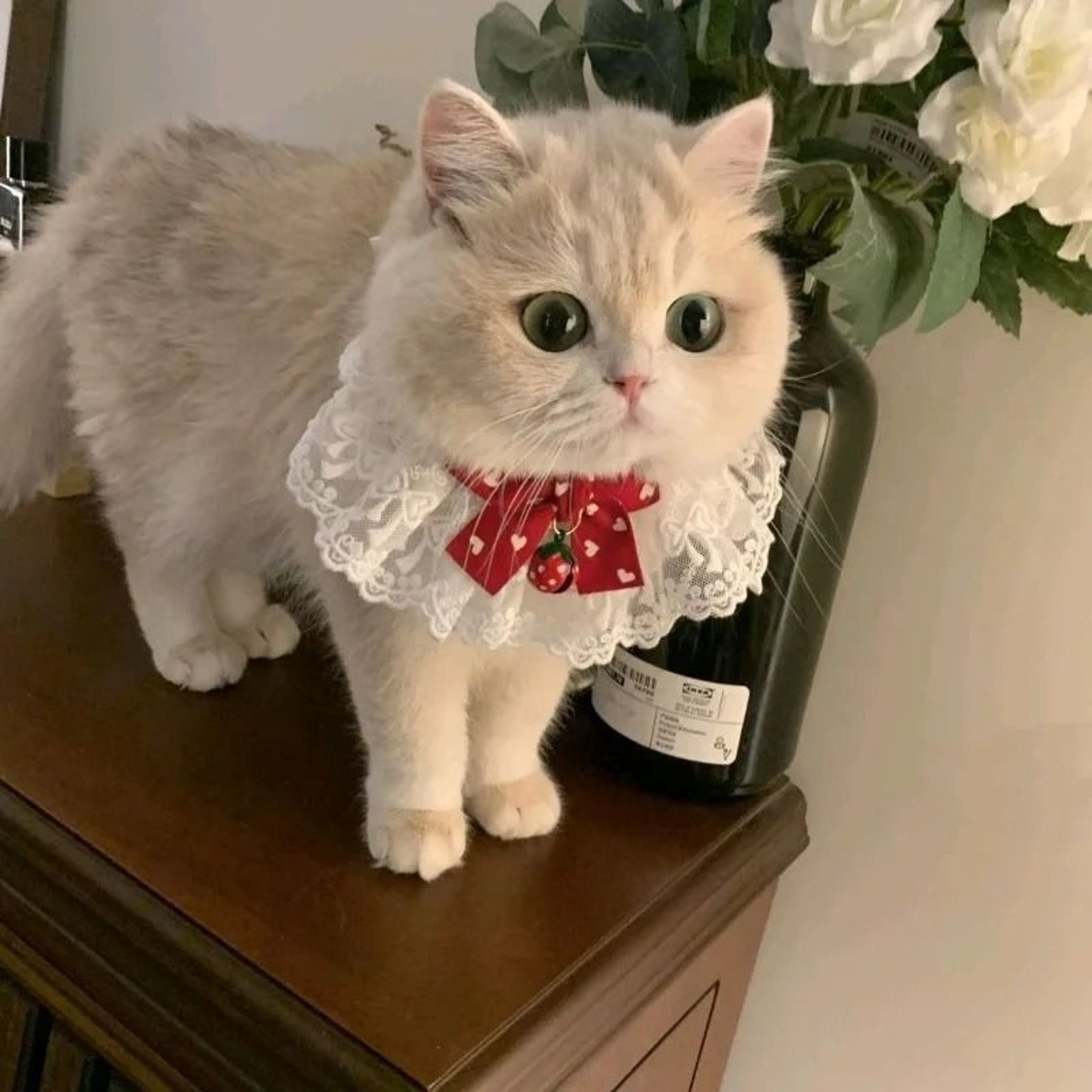 Princess Style Cat Collar Lace Ribbon Bowtie Necklace With Bell For Cats And Small Dogs 8