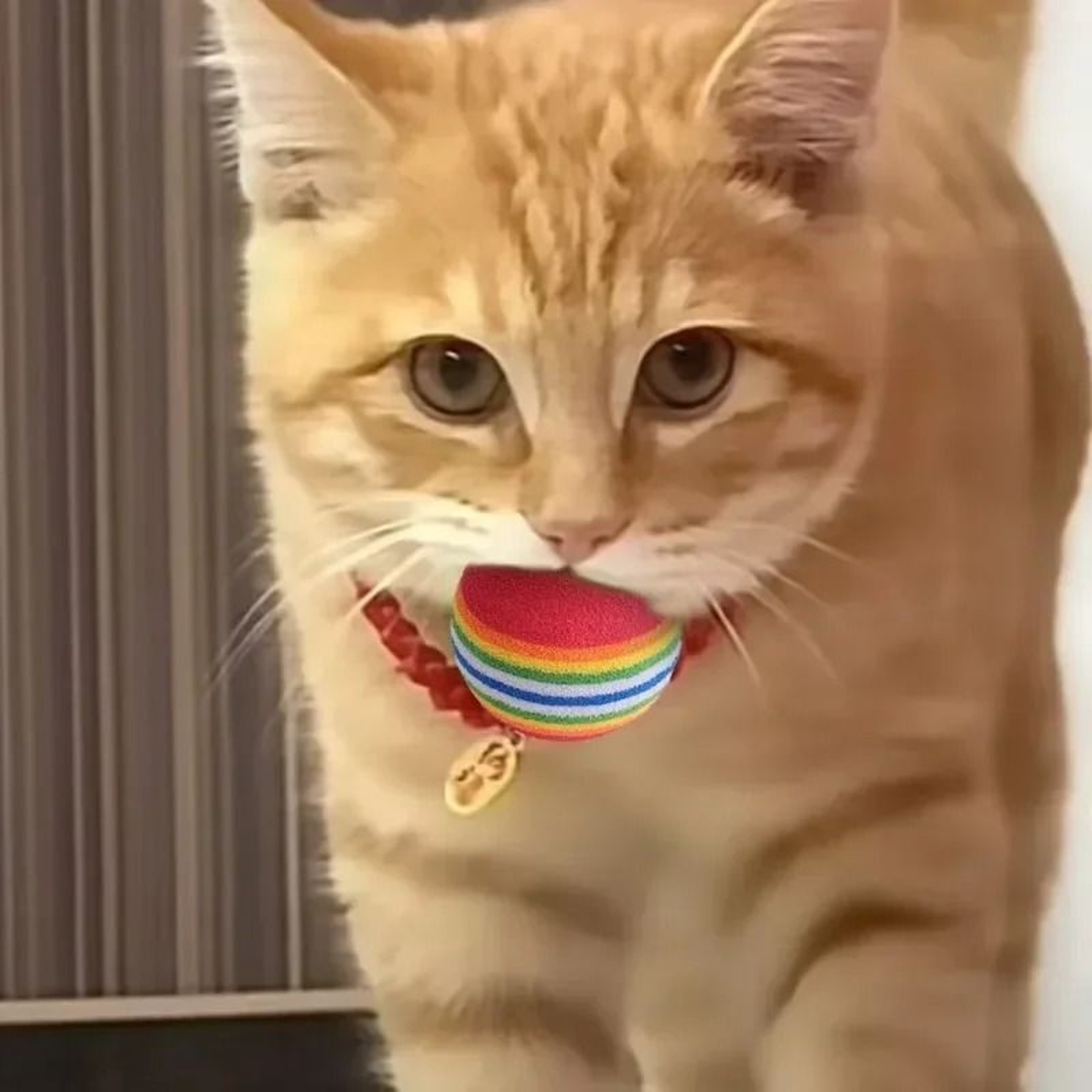 Interactive Pet Toy Balls Soft Rainbow EVA Jumping Balls For Cats And Dogs Training Play Toys 8