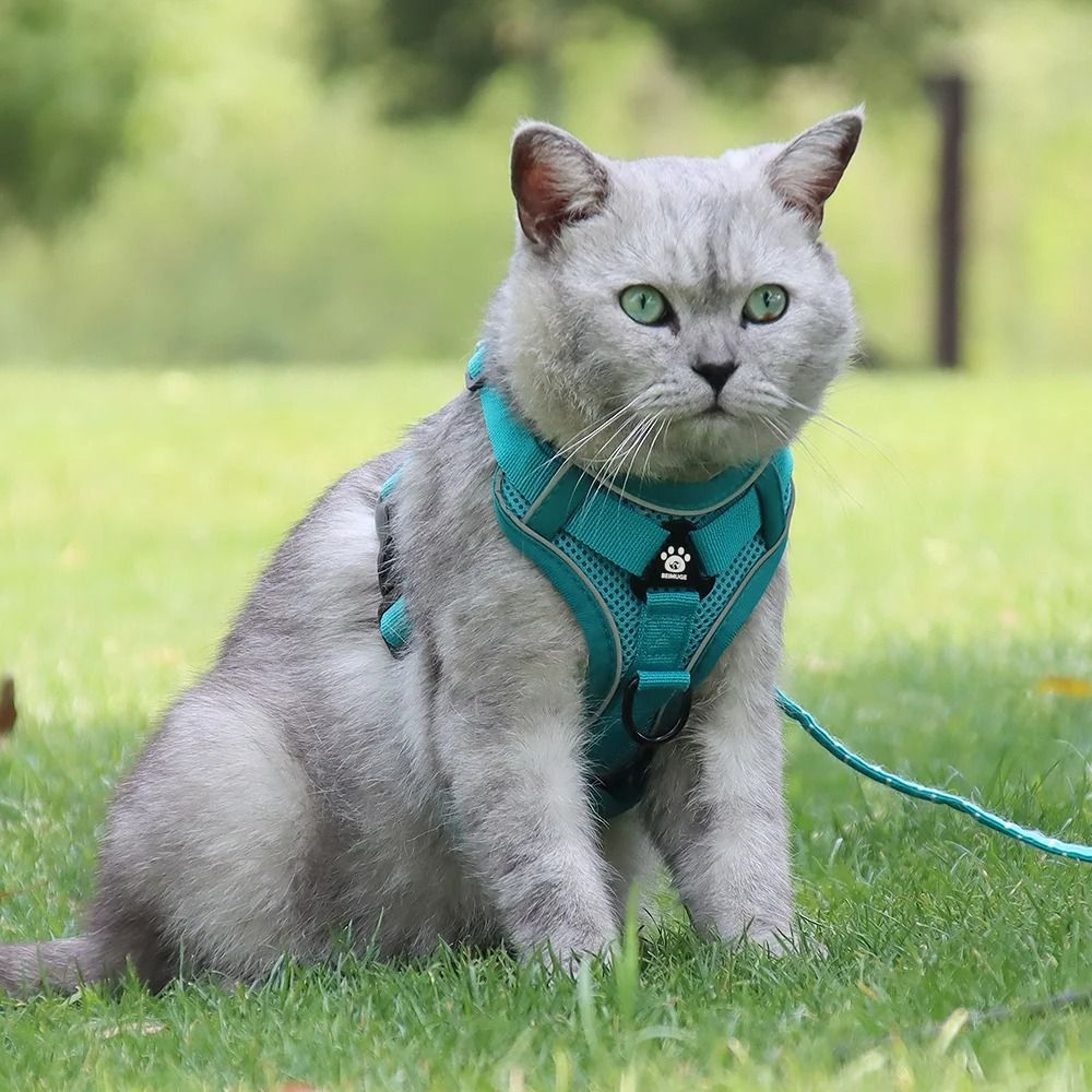 Reflective Cat Harness And Leash Adjustable Breathable Pet Vest For Small Dogs And Cats 0