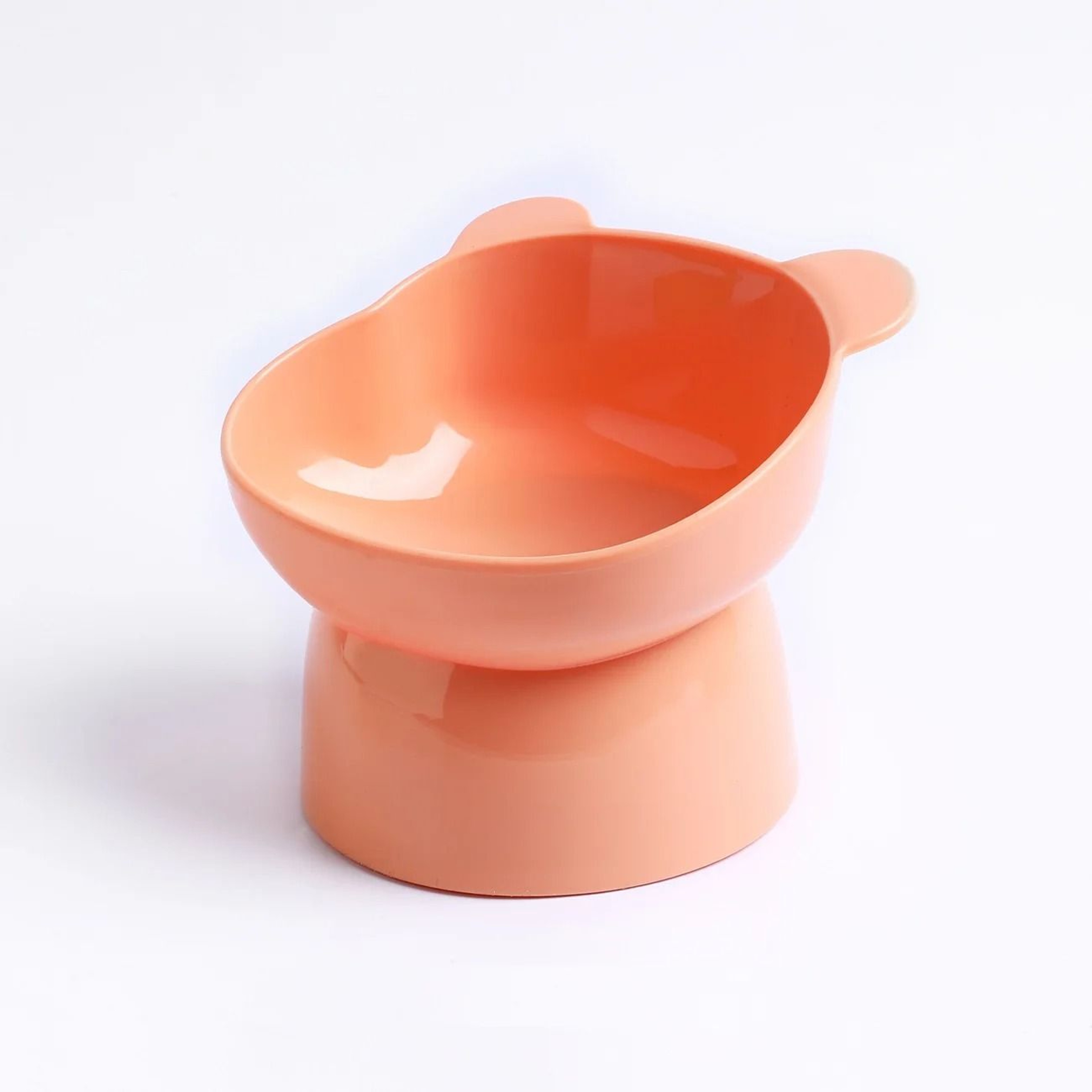 Elevated Cat Bowls Anti Vomiting Tilted Feeder And Waterer Set 4