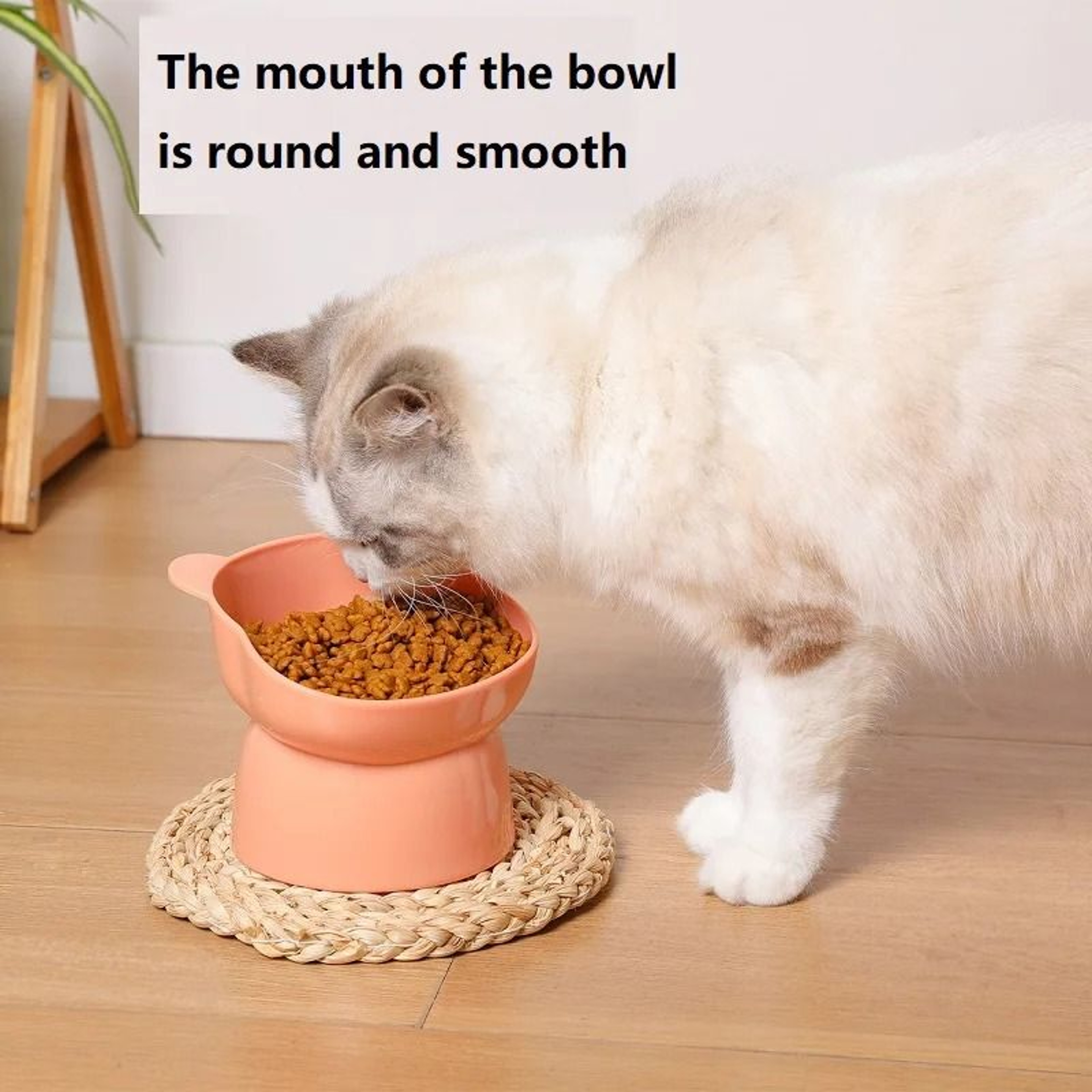 Elevated Cat Bowls Anti Vomiting Tilted Feeder And Waterer Set 7