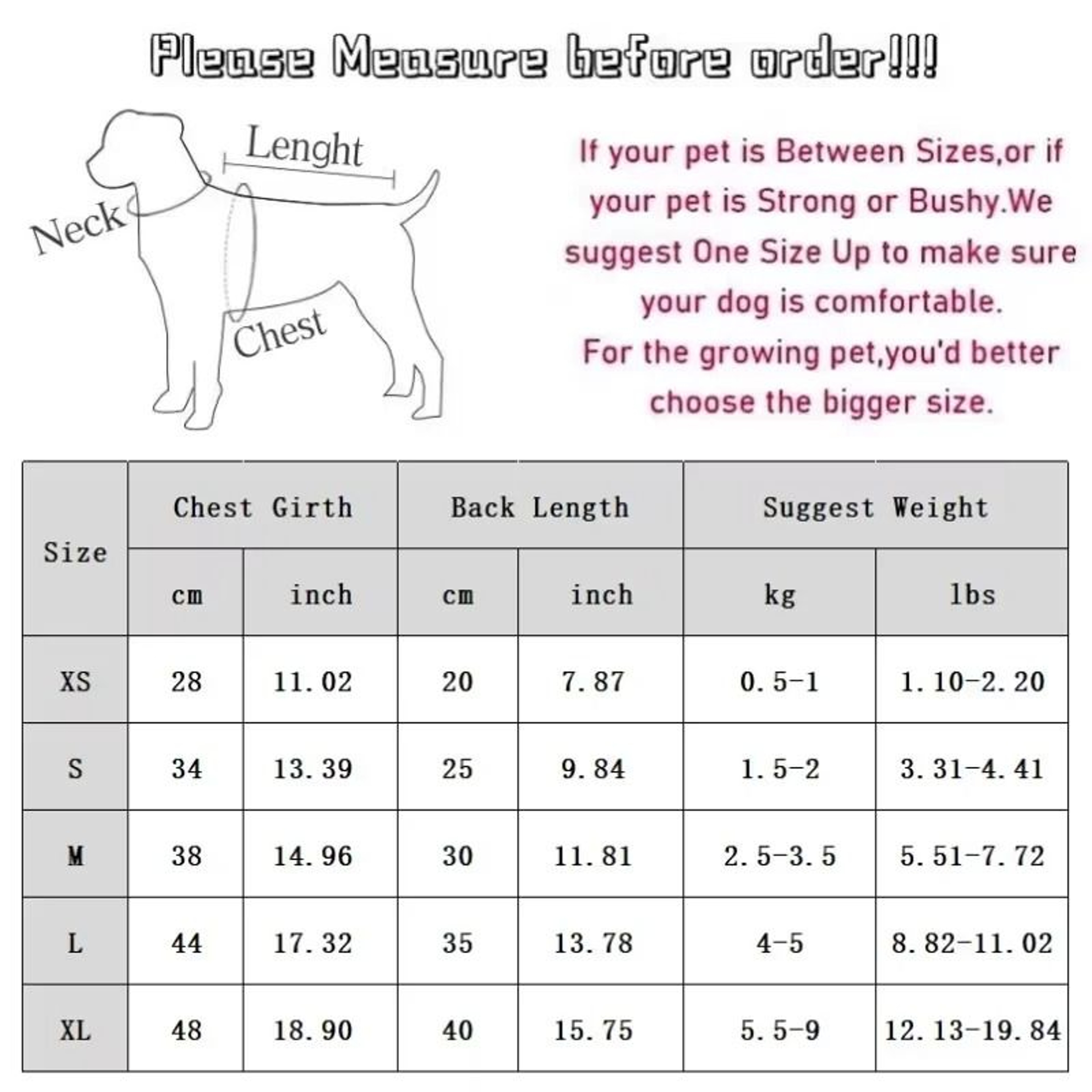 Warm Cotton Sphynx Cat Sweatshirt For Winter 1