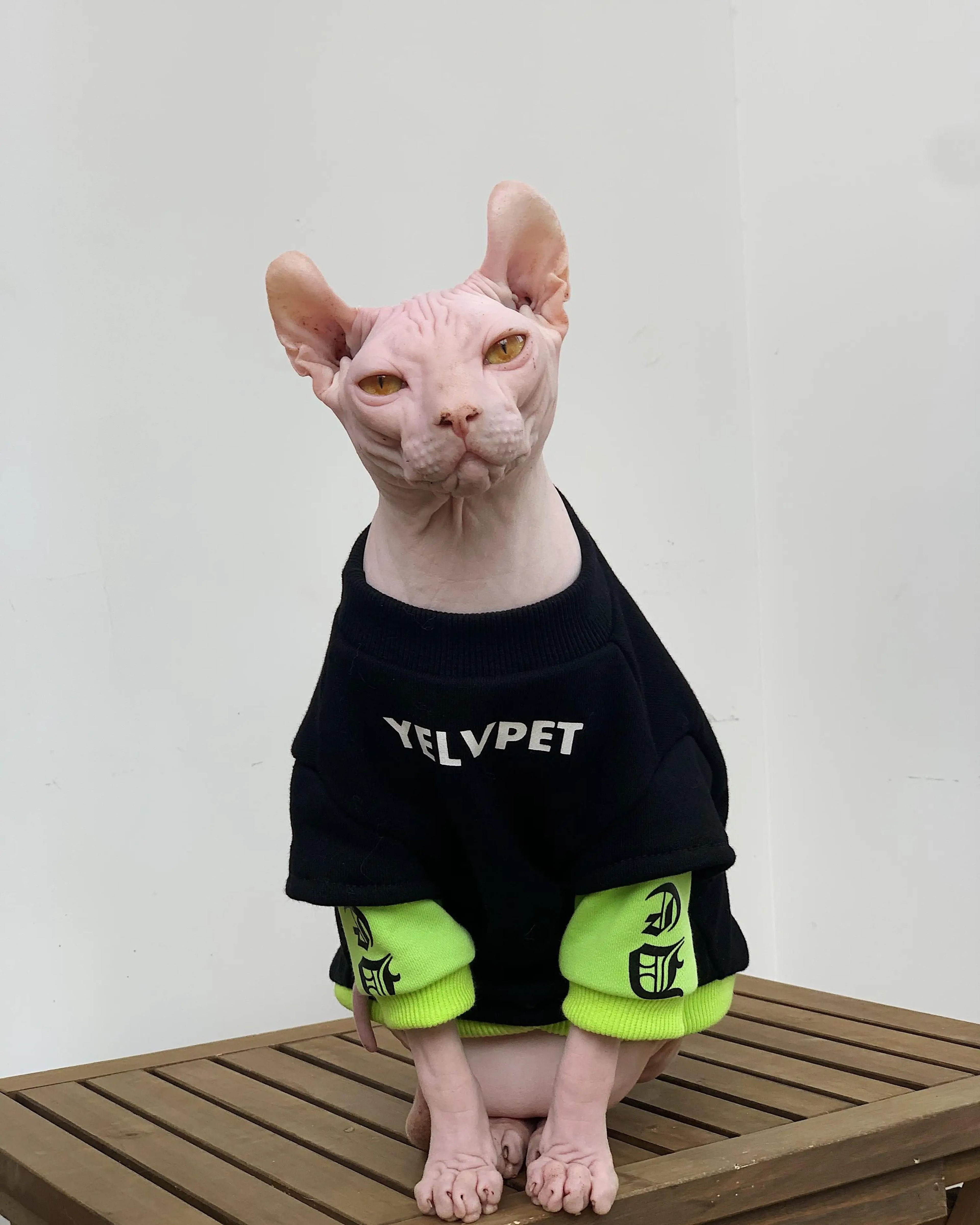 Warm Cotton Sphynx Cat Sweatshirt For Winter 6