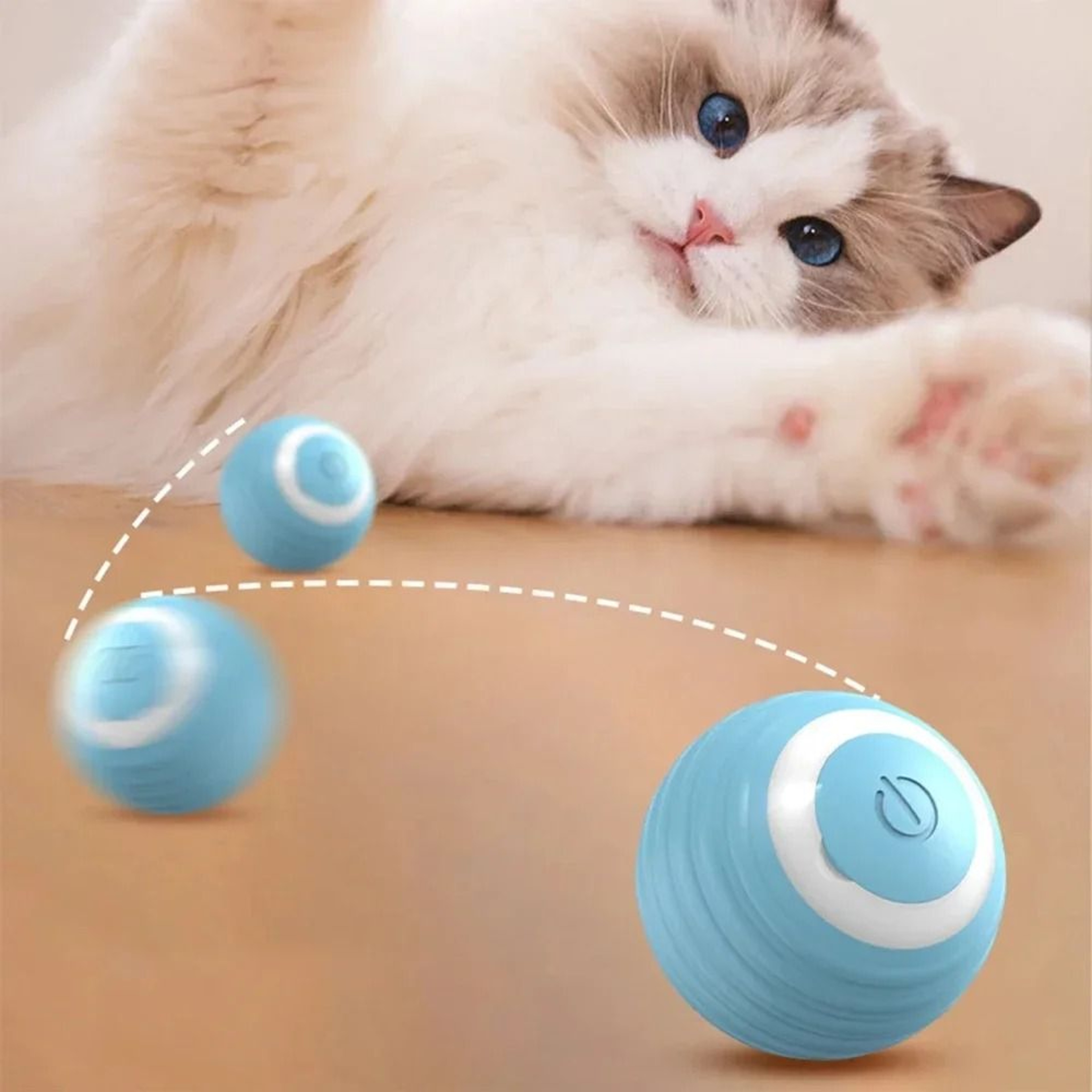 Rechargeable Rolling Electric Cat Ball Toy For Interactive Indoor Pet Exercise 0