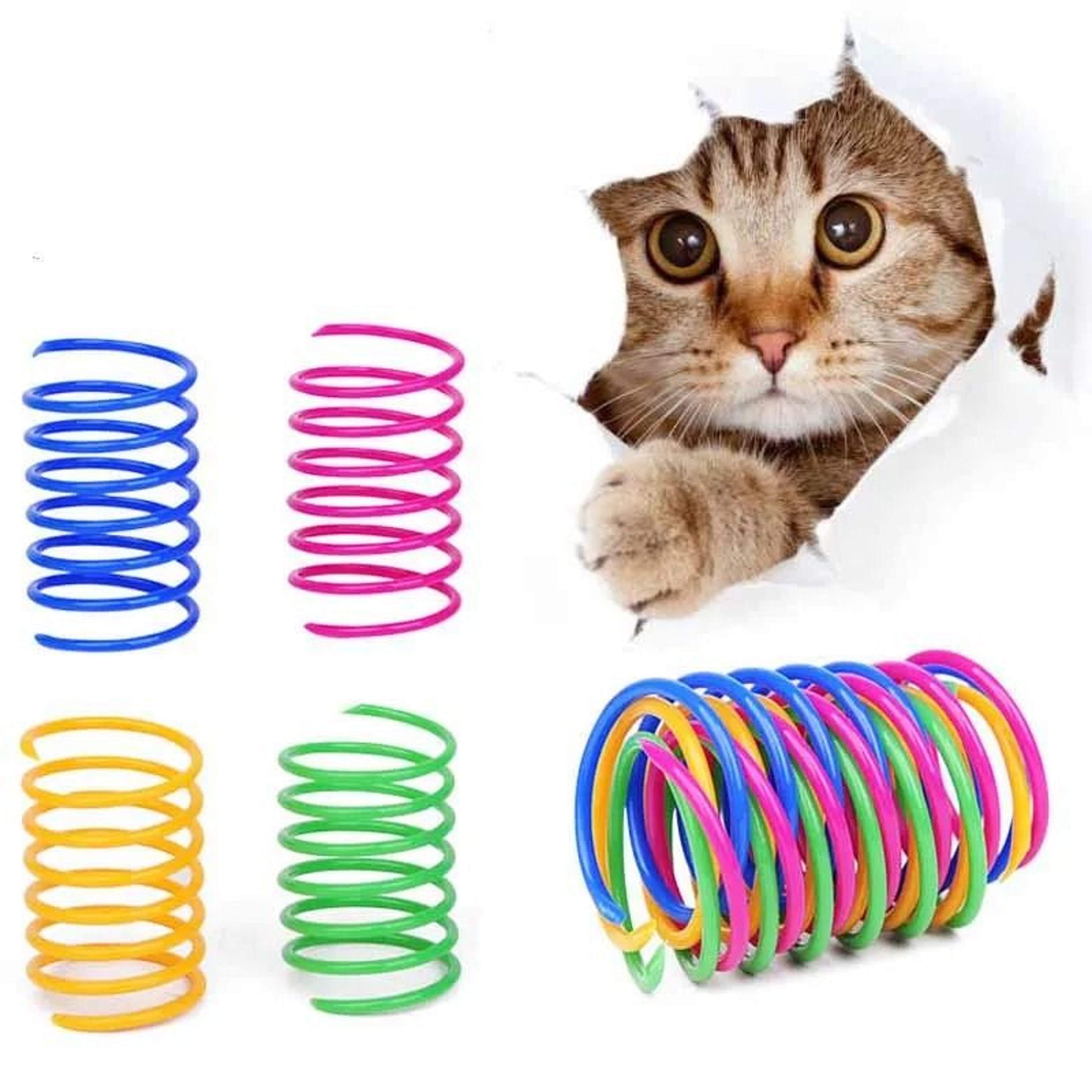 Colorful Spring Cat Toy Coils For Chasing Chewing And Kitten Exercise 4