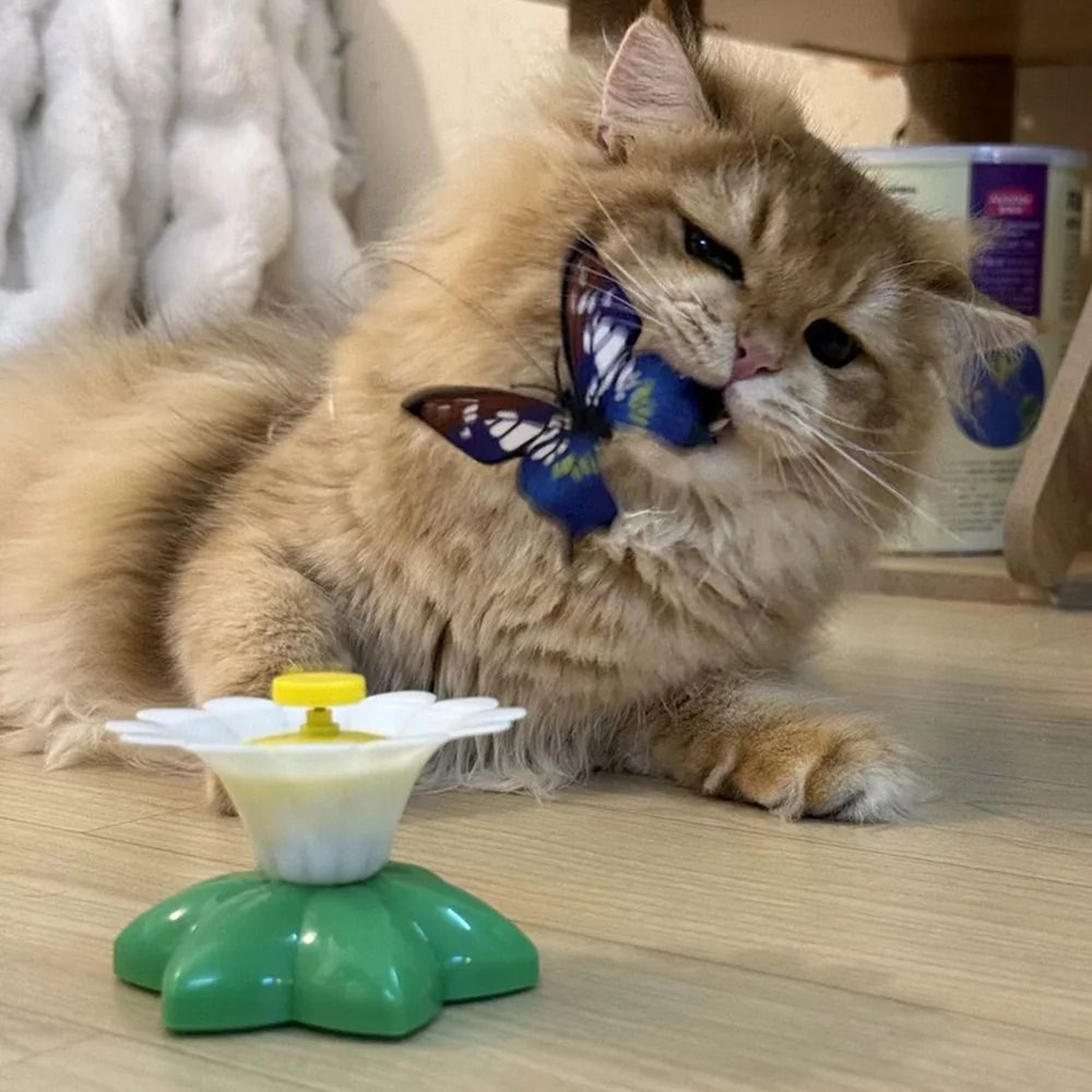 Automatic Rotating Electric Cat Toy With Colorful Butterfly For Interactive Training Play 6
