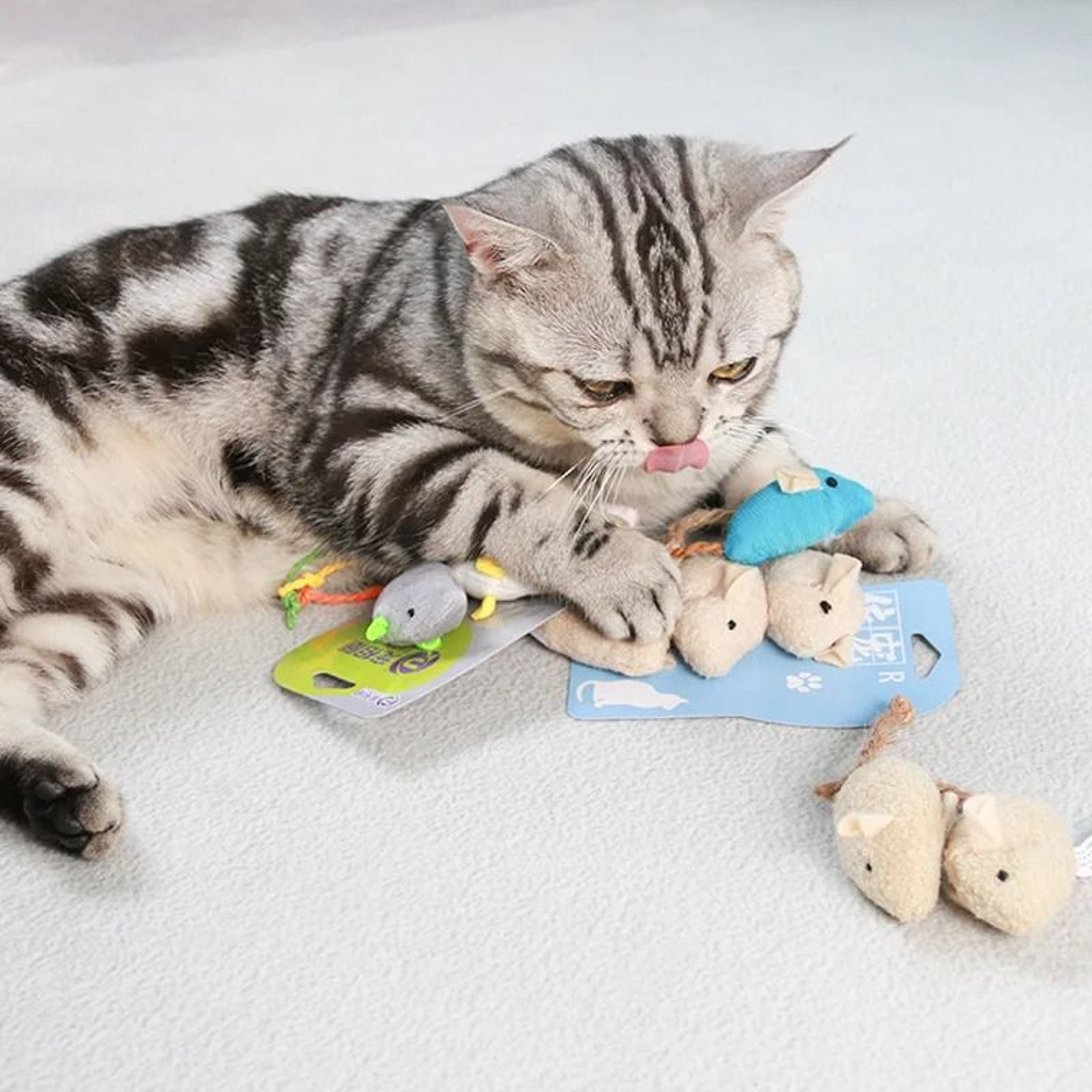 Catnip Plush Mouse Cat Toy For Kitten Chasing Chewing And Indoor Play 4