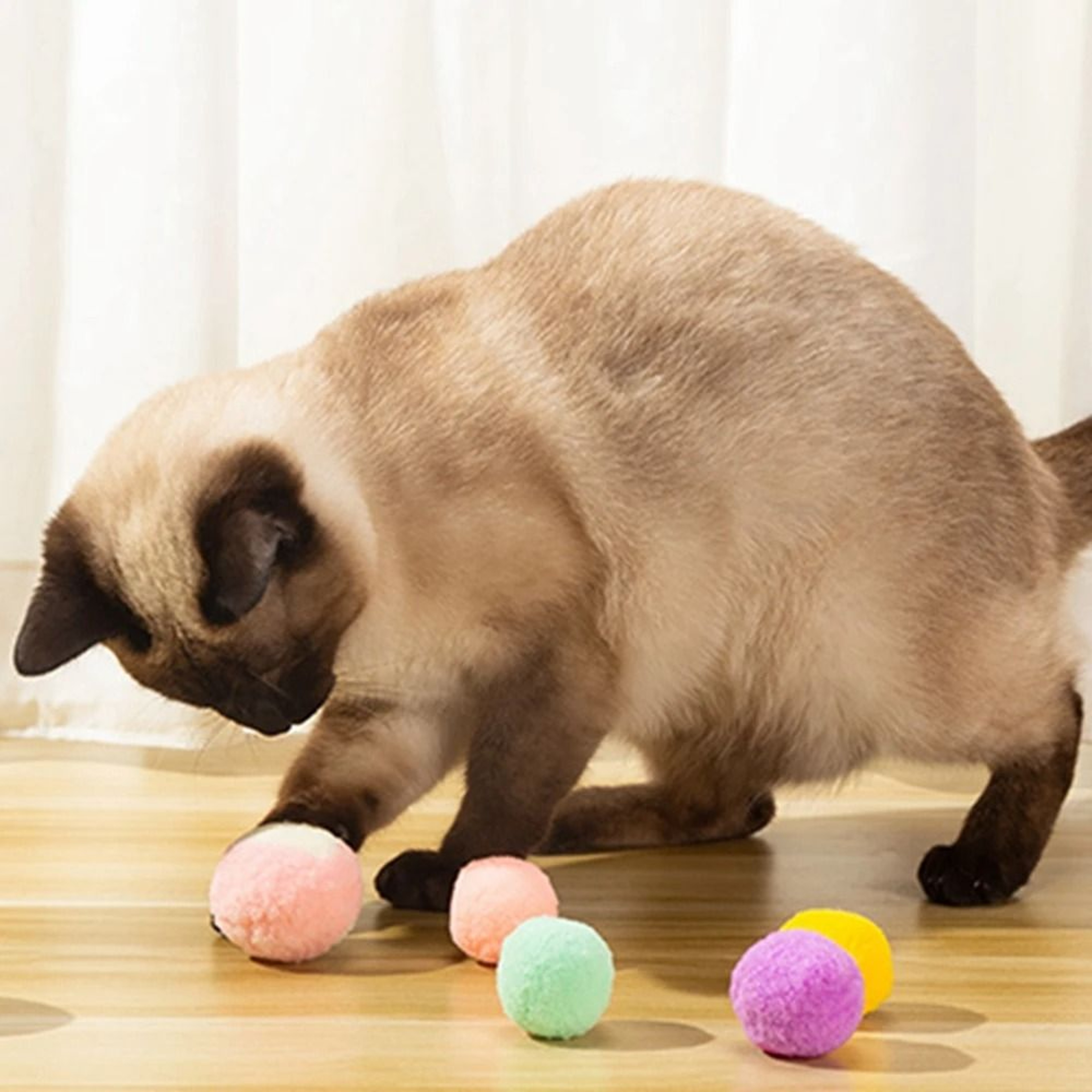 Soft Pom Pom Cat Toy Balls For Interactive Indoor Play 5
