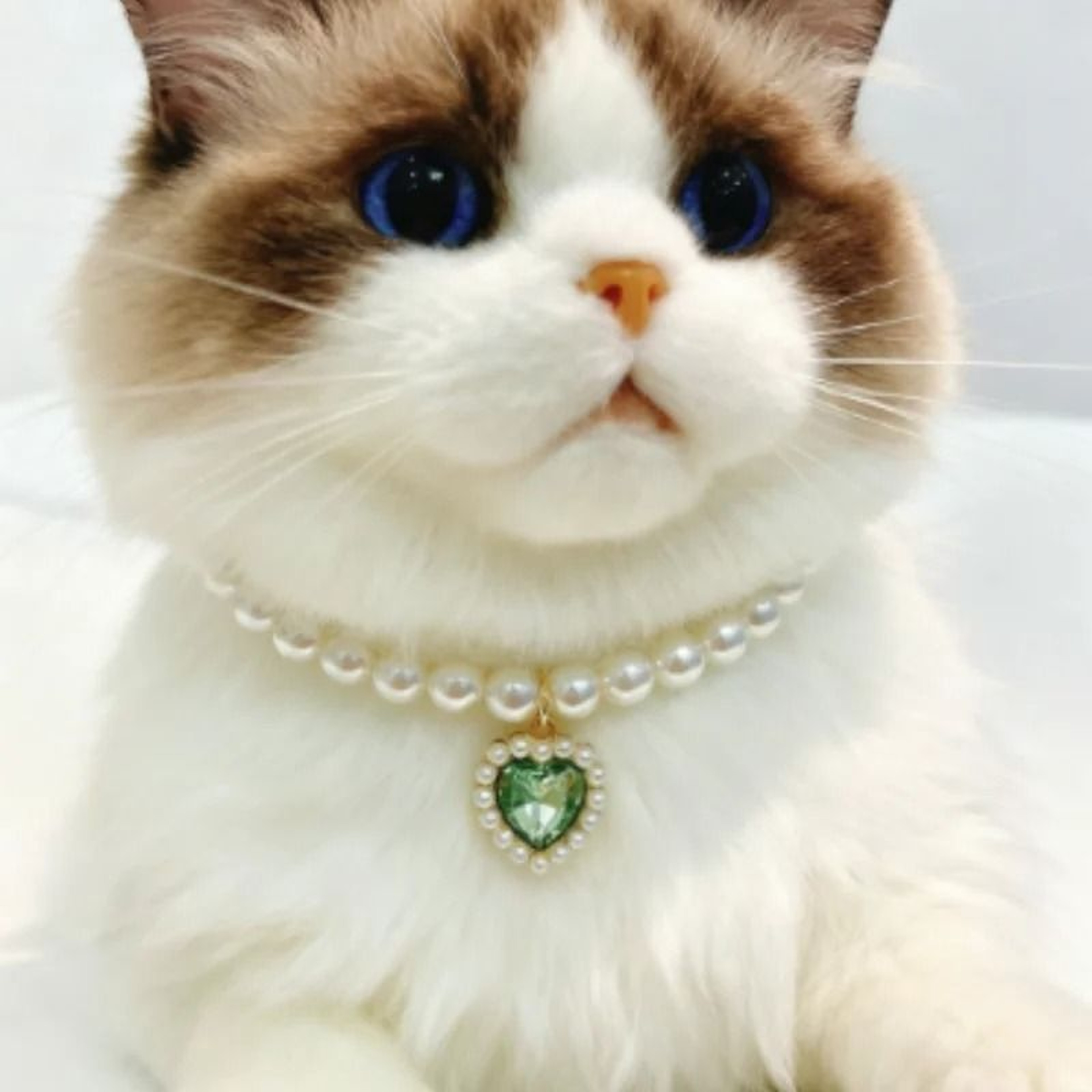 Adjustable Pearl Cat Collar Necklace For Kittens 0