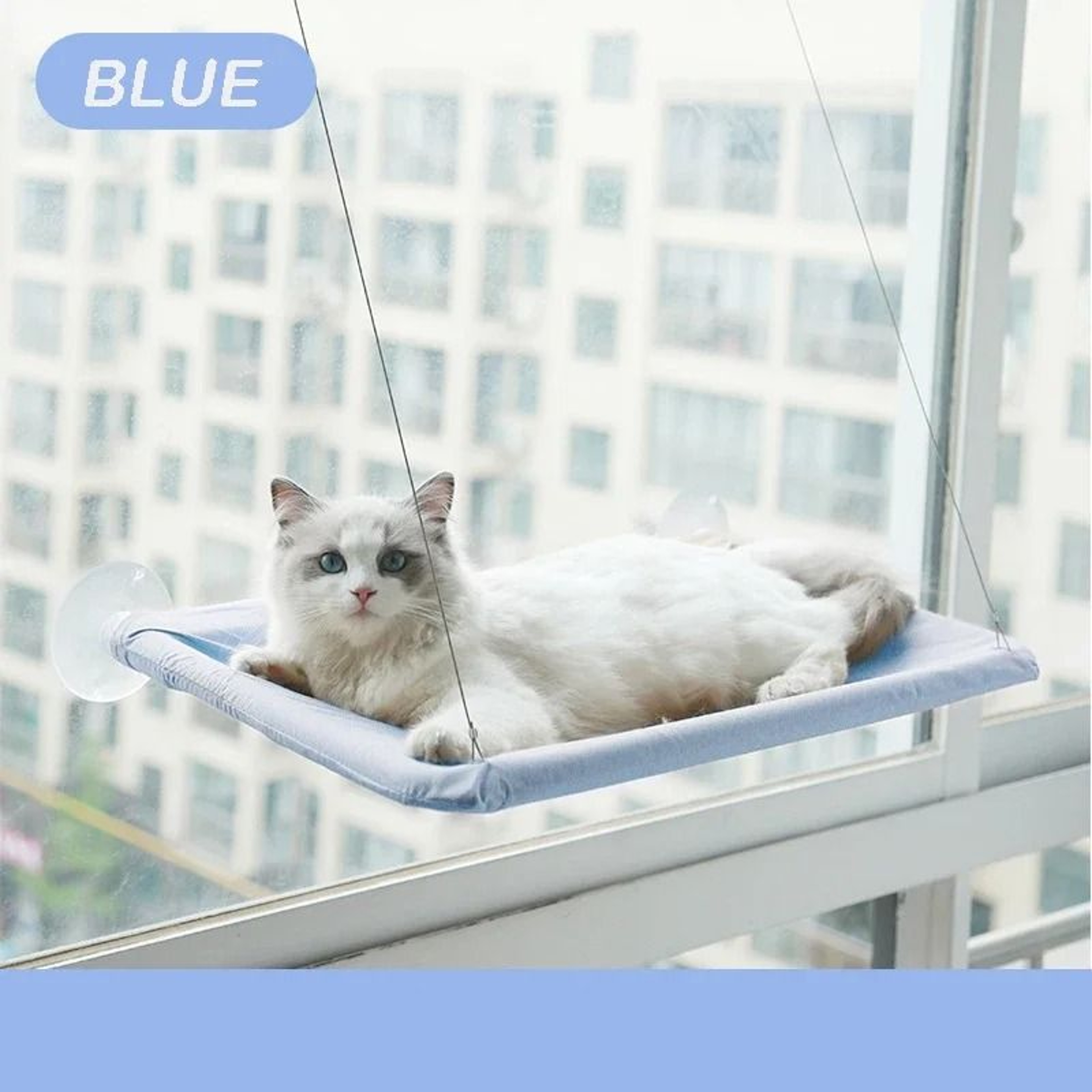 Hanging Cat Hammock Window Seat Bed With Climbing Frame For Sunny Indoor Lounging 3