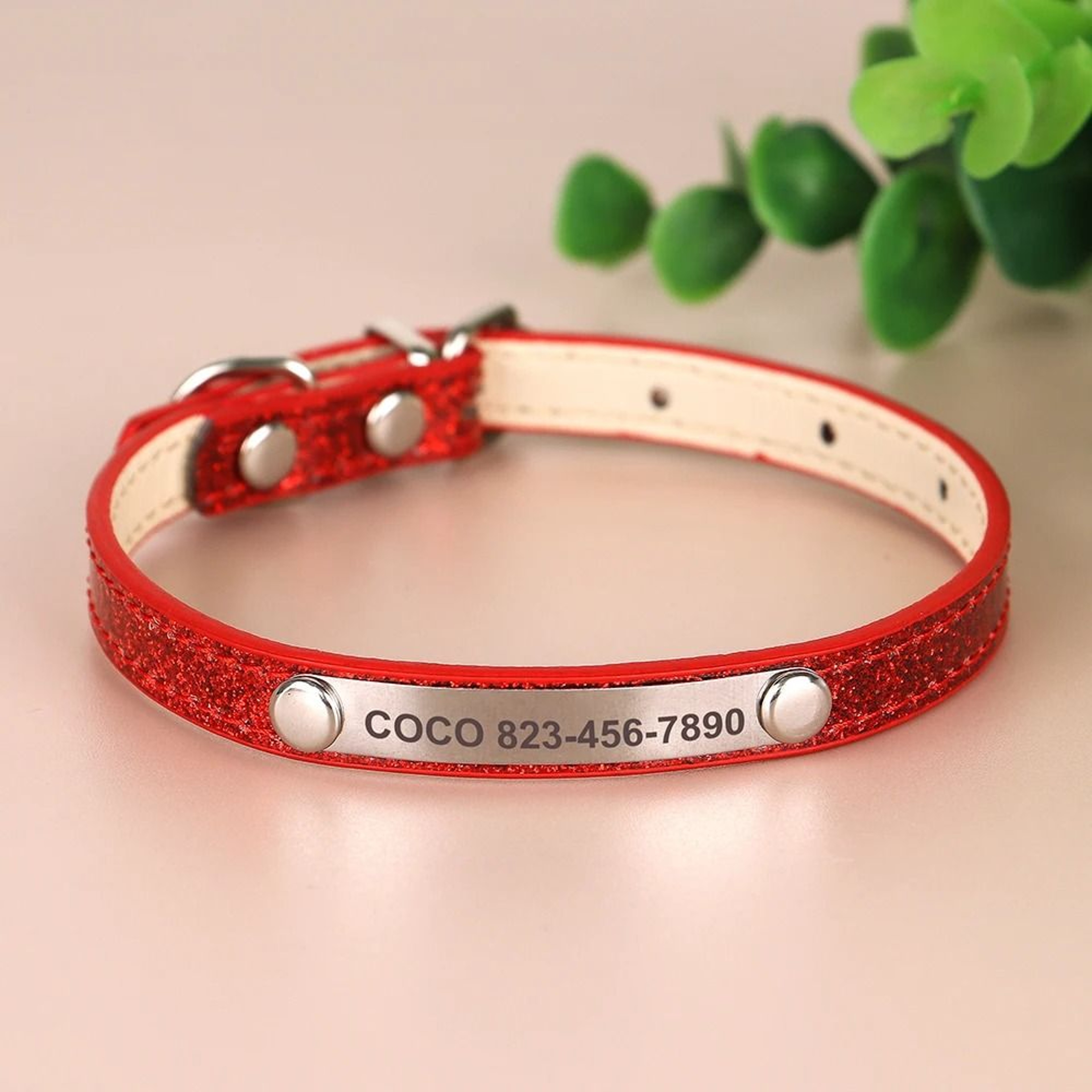 Personalized Cat Collar With Engraved ID Tag For Kittens And Small Dogs 1