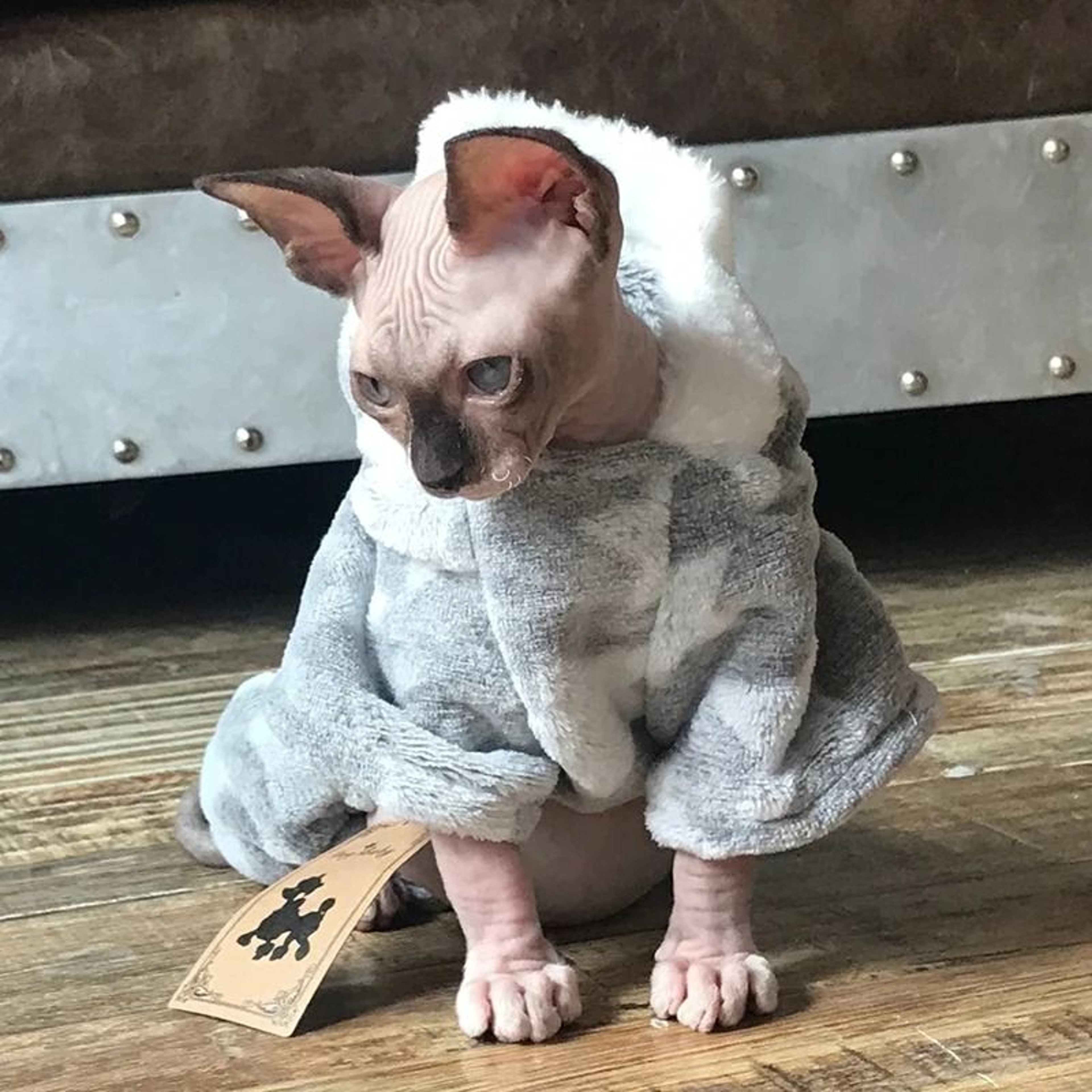 Warm Soft Fleece Cat Pullover Sweater For Small Dogs And Kittens 0