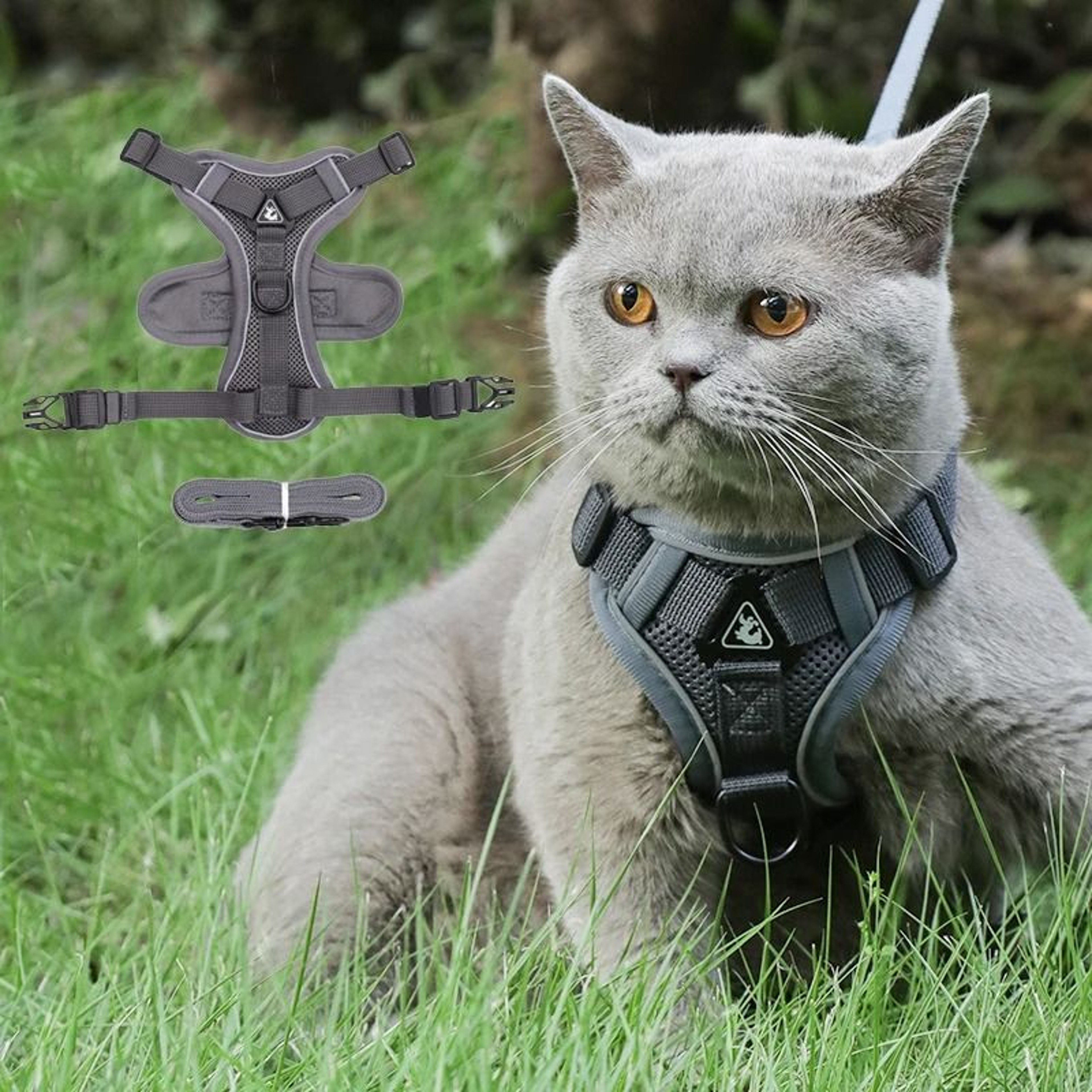 Reflective Cat Dog Harness And Leash Set For Small Pets Outdoor Walking 16
