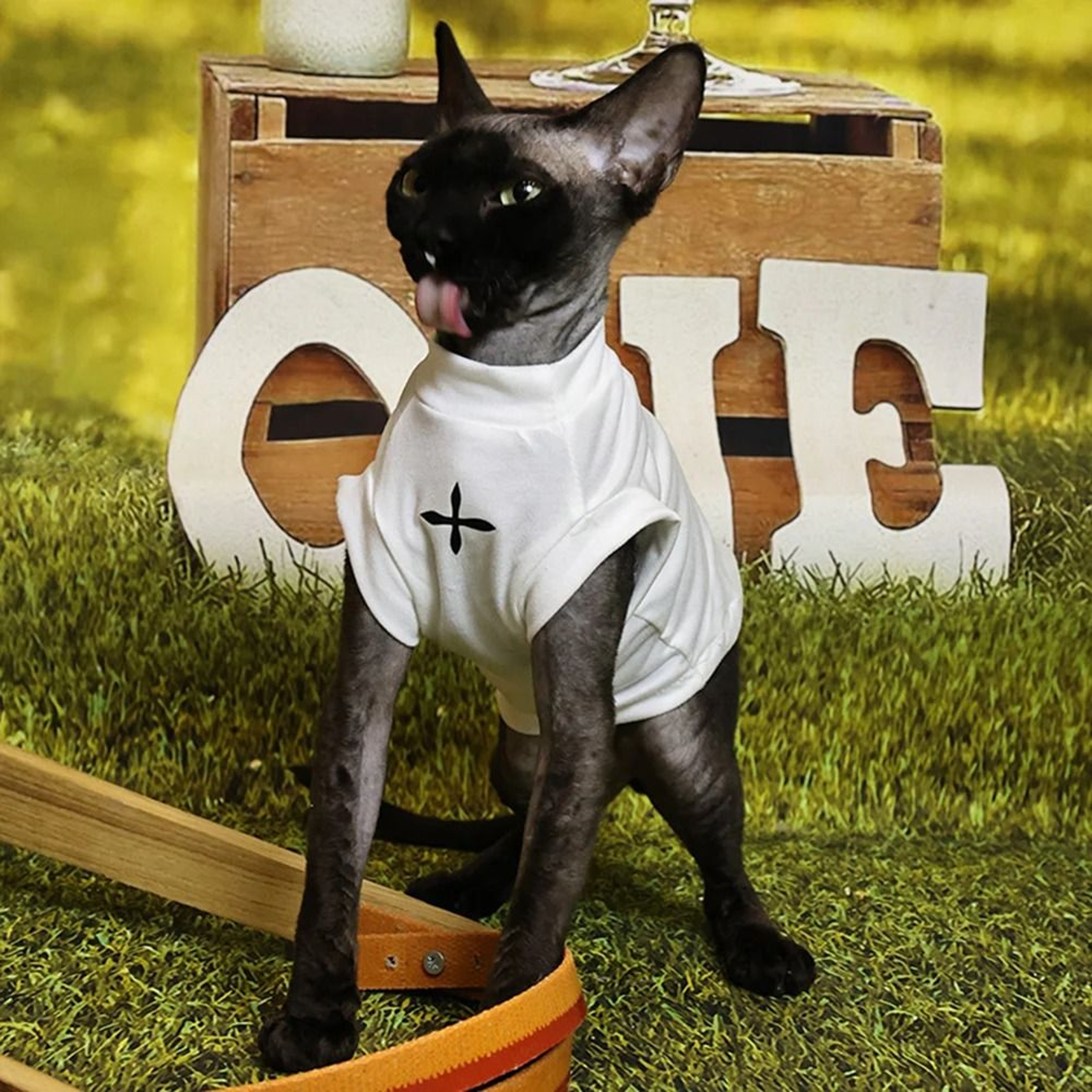 Sphynx Cat Clothes Black Cotton Pullover Shirt For Hairless Cats And Kittens 5