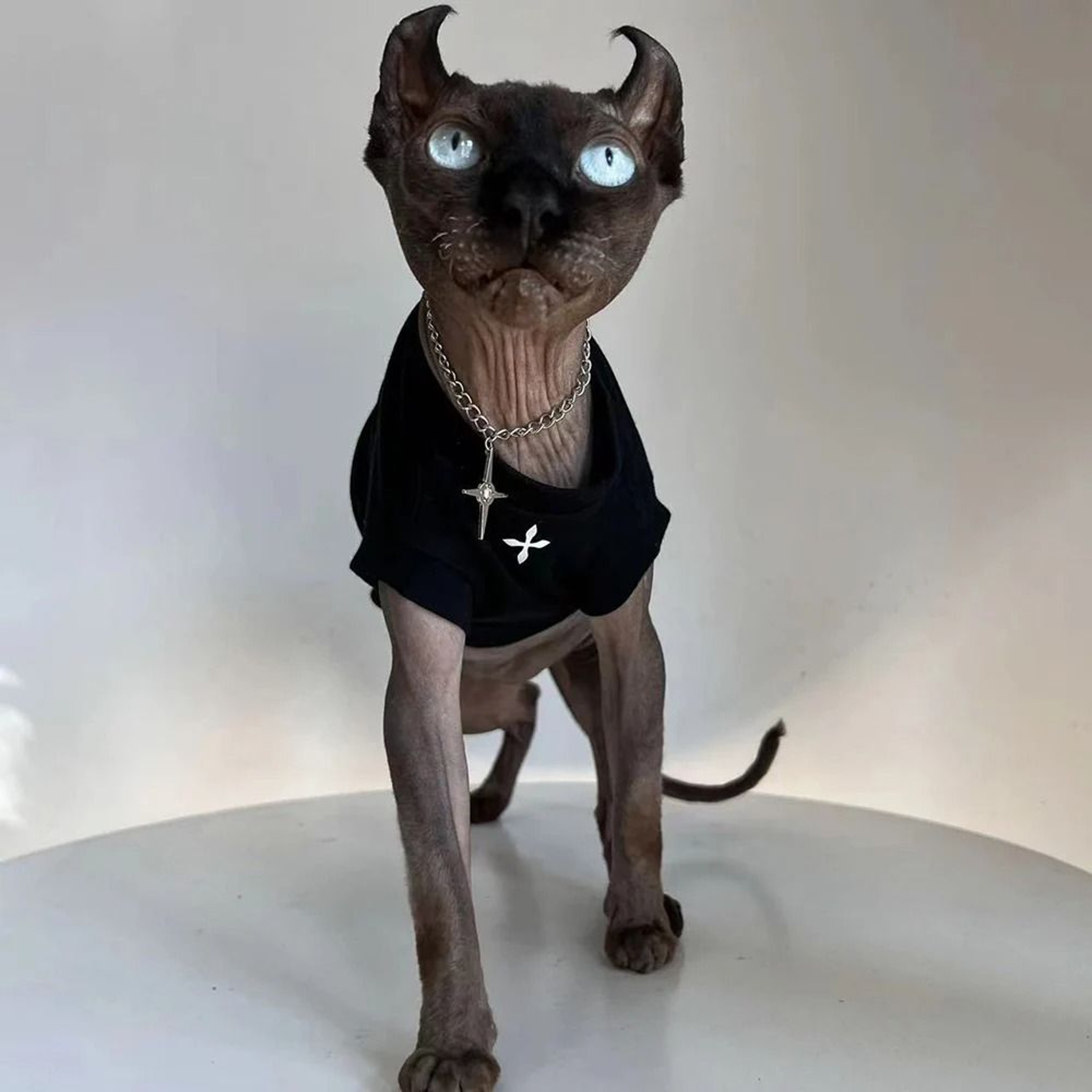 Sphynx Cat Clothes Black Cotton Pullover Shirt For Hairless Cats And Kittens 6
