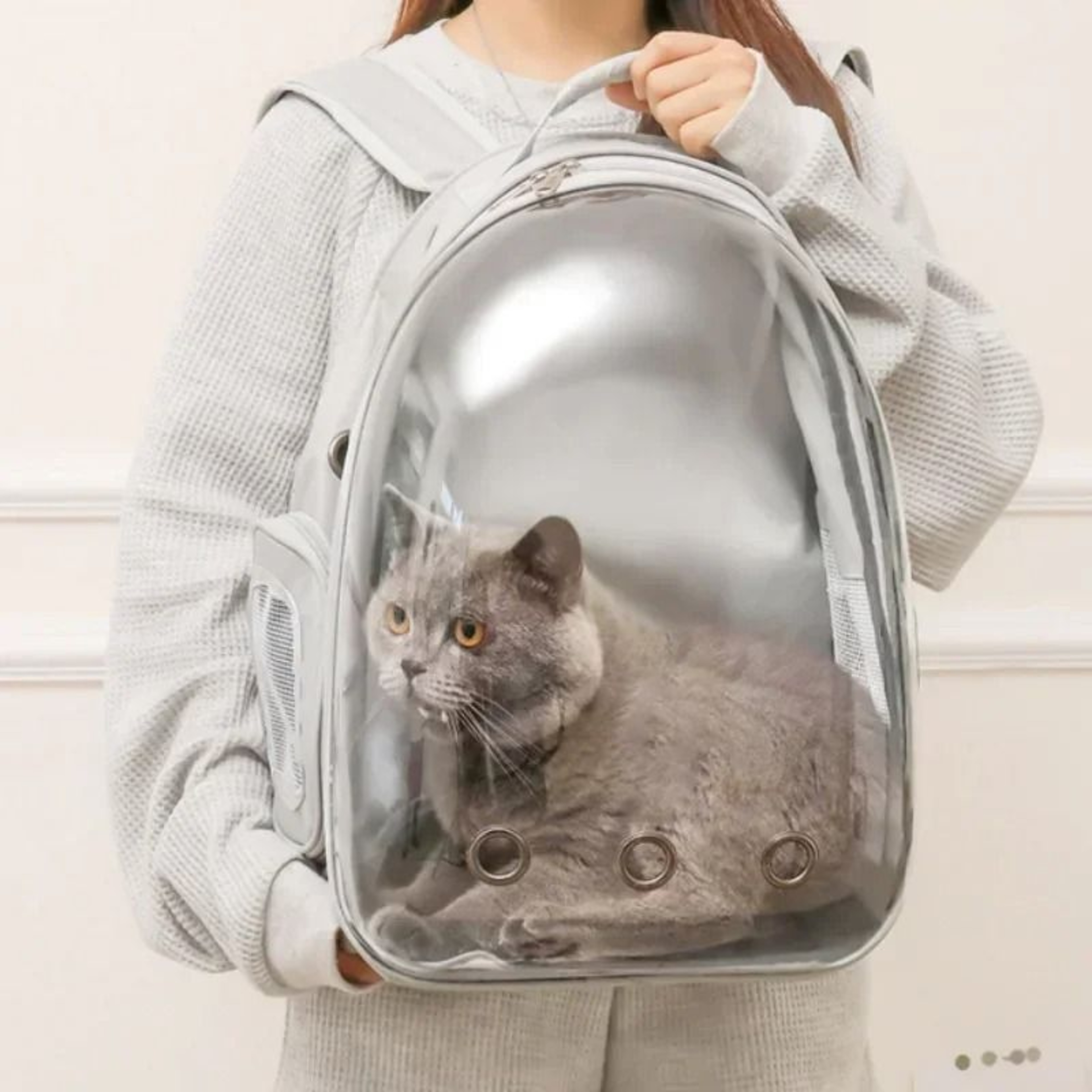 Cat Backpack Carrier Space Capsule Transparent Pet Bag For Cats And Puppies 14