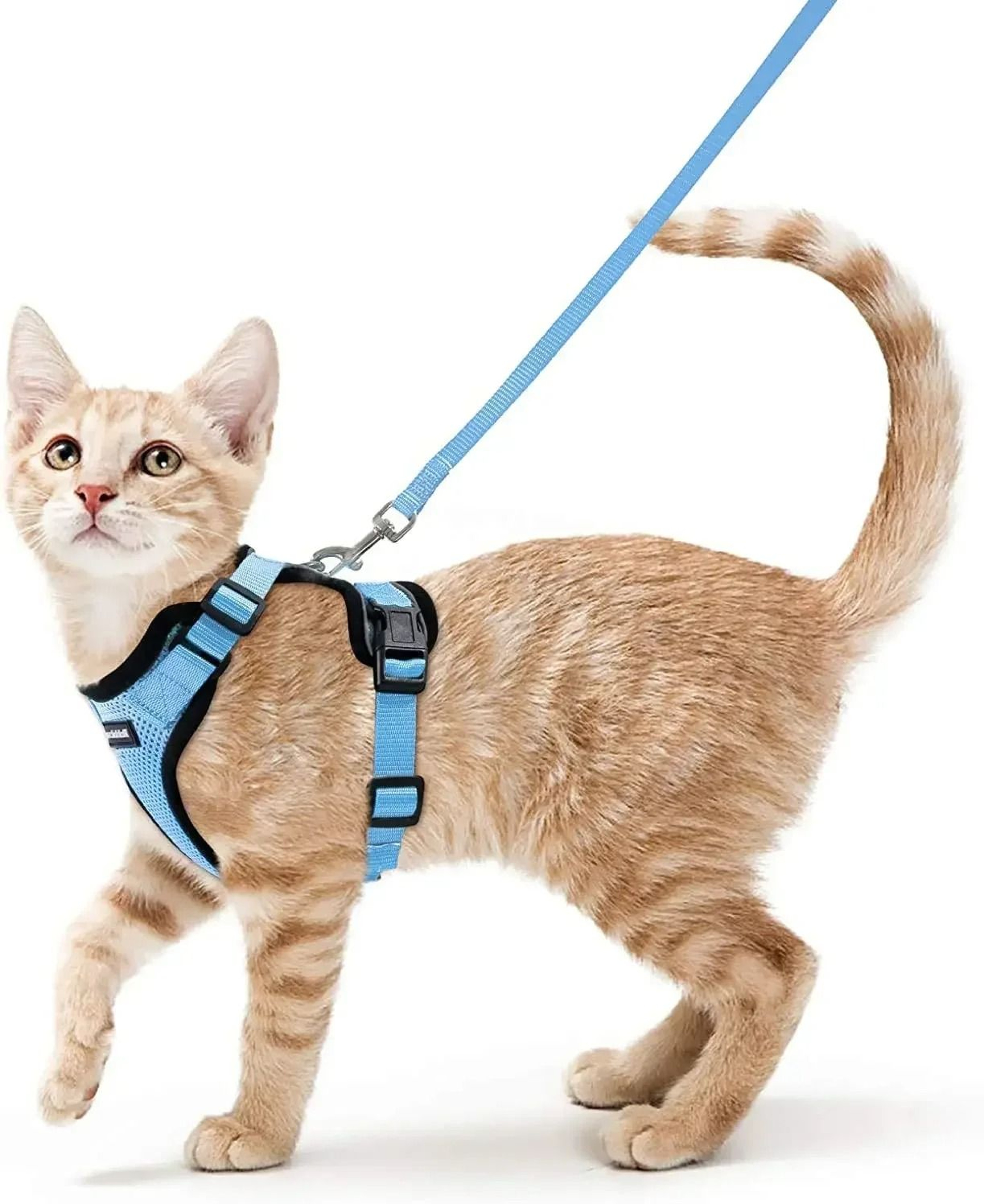 Escape Proof Cat Harness And Leash Soft Adjustable Reflective Vest For Safe Outdoor Walking 9