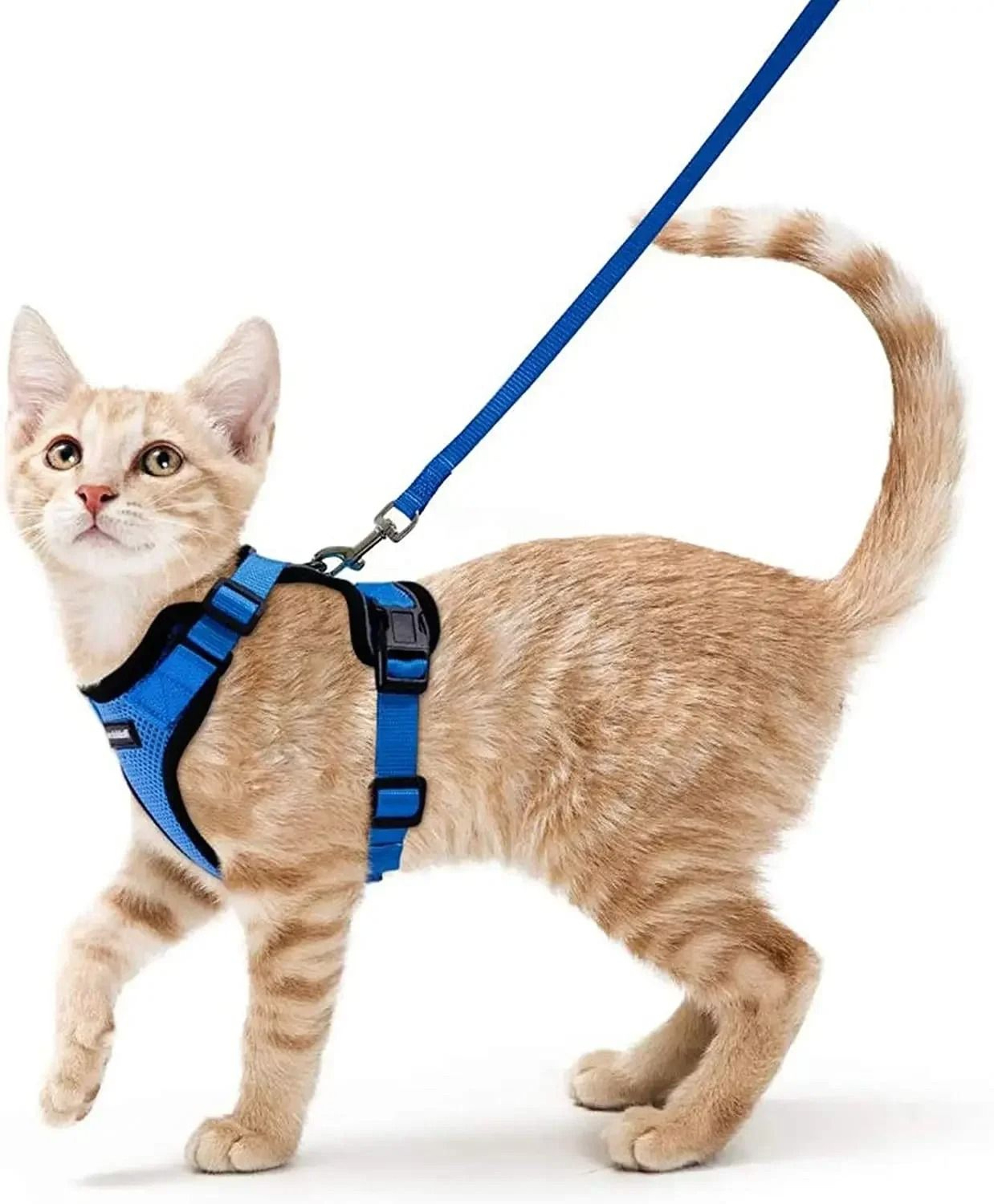 Escape Proof Cat Harness And Leash Soft Adjustable Reflective Vest For Safe Outdoor Walking 7