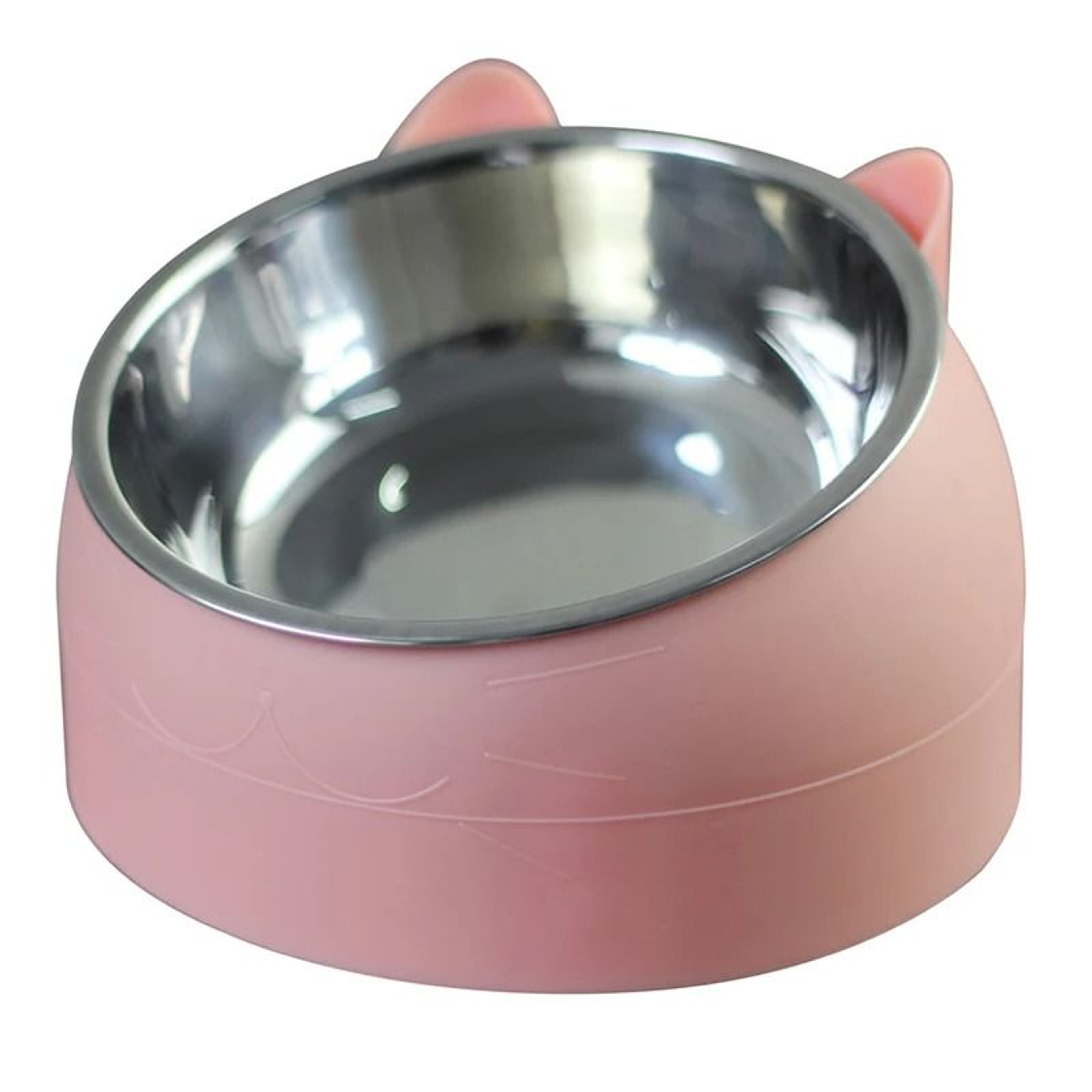 Stainless Steel Tilted Cat Bowl Non Slip Pet Feeder For Cats Puppies Food And Water 8