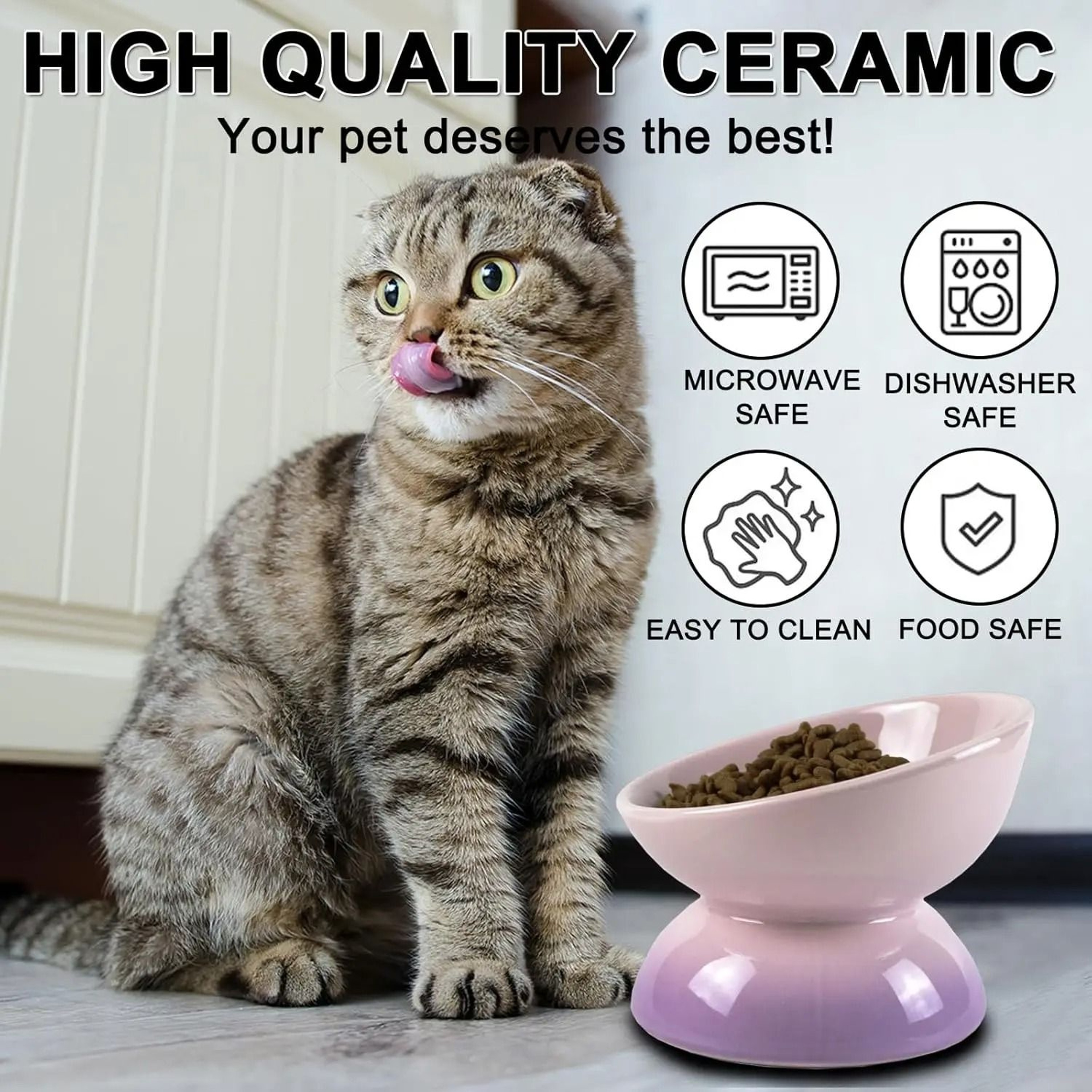 Ceramic Elevated Cat Bowl Tilted Food Dish For Comfortable Feeding And Easy Cleaning 8