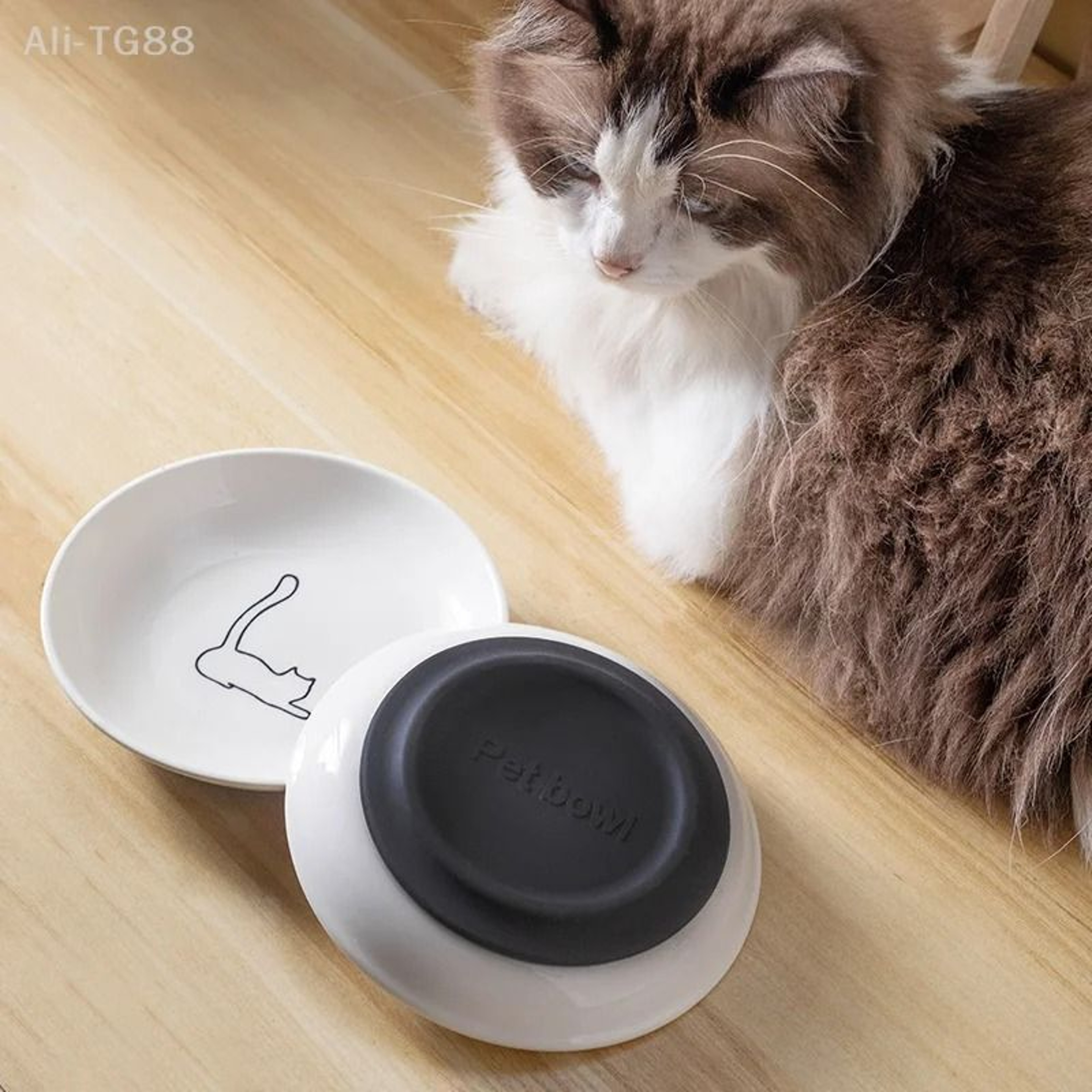 Ceramic Kitten Food Bowl Anti Slip Cat Feeding Platter With Silicone Pad Support 8