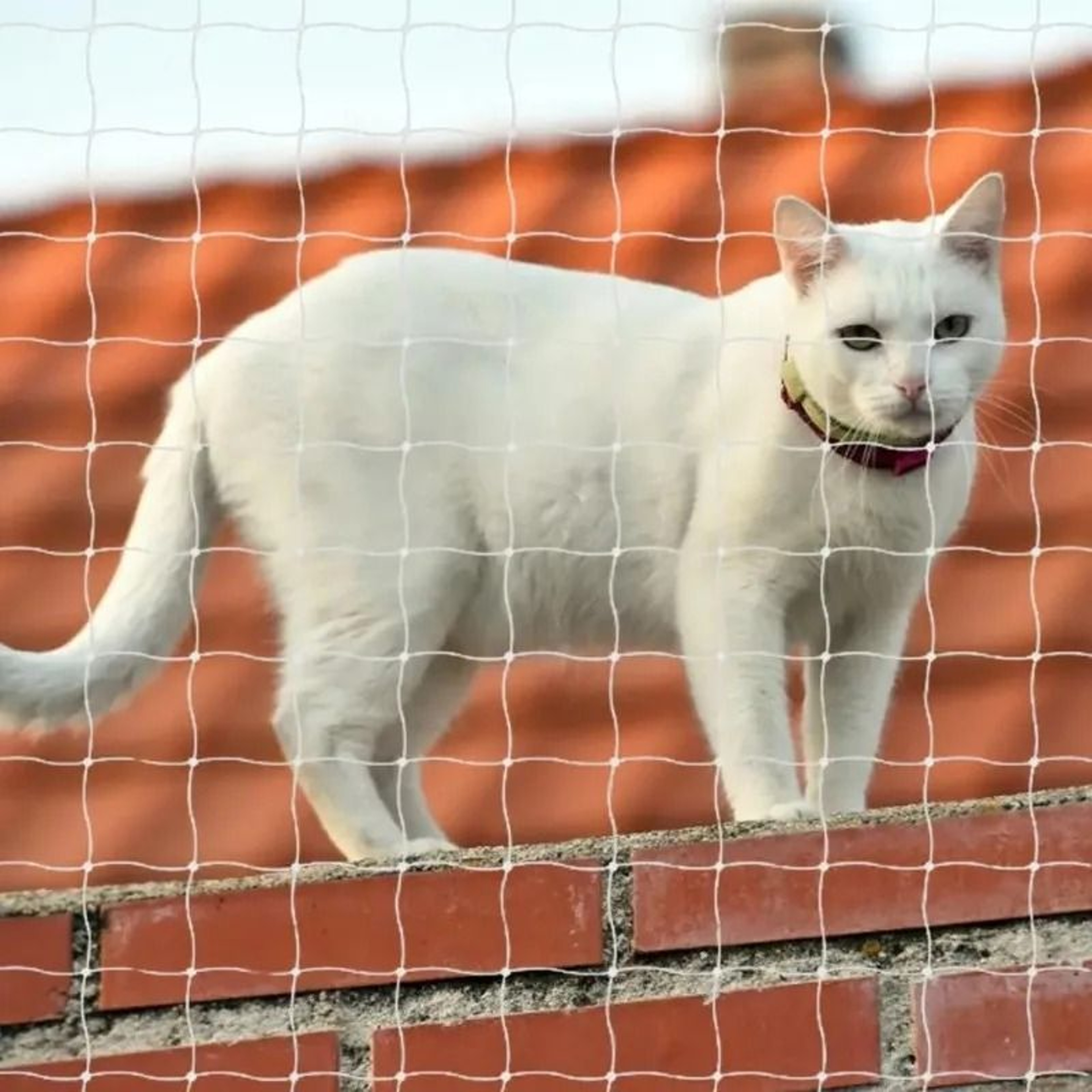 Cat Balcony Safety Net Nylon Pet Protection Netting For Windows Railings And Outdoor Spaces 7